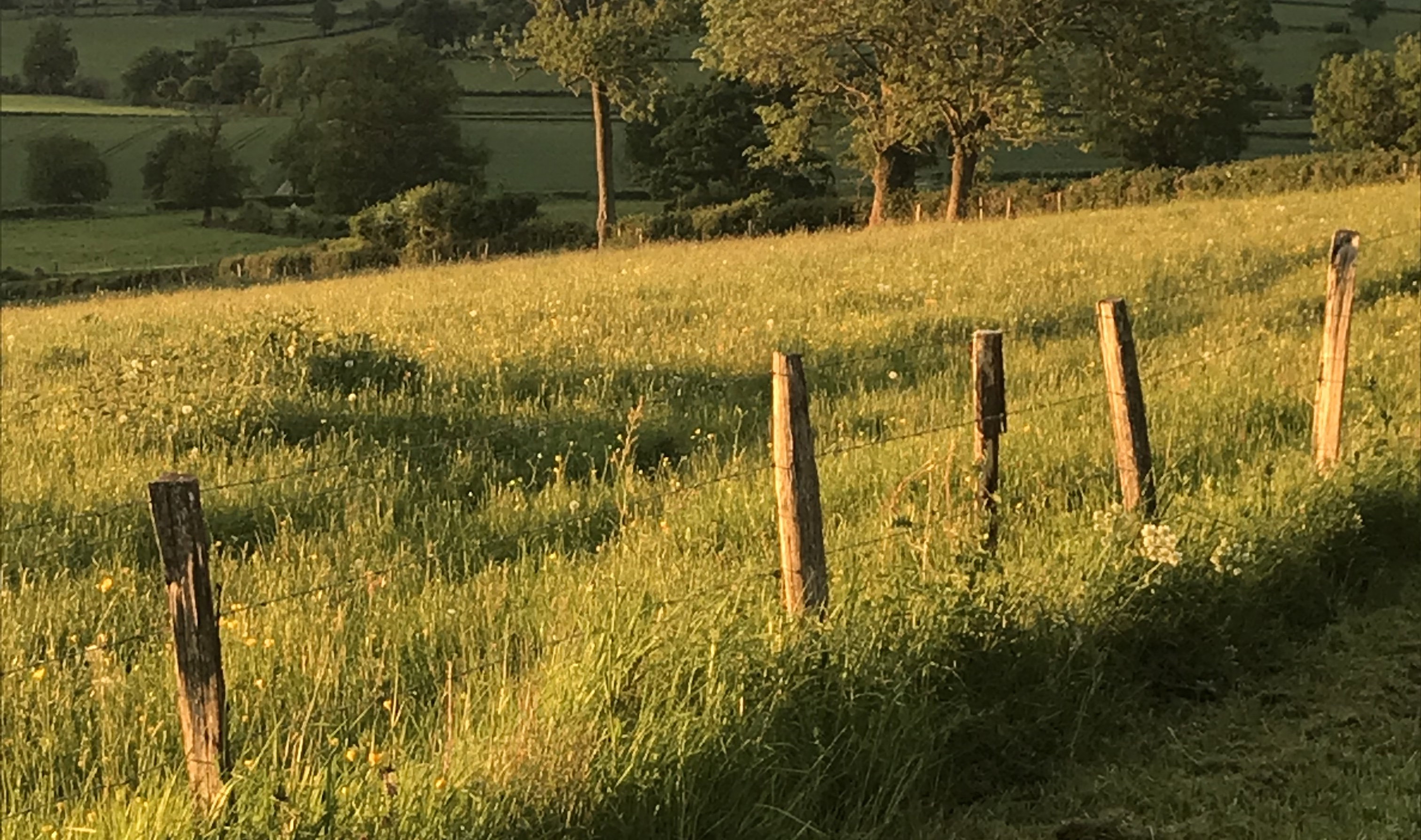 Natuurhuisje in Lapeyrouse