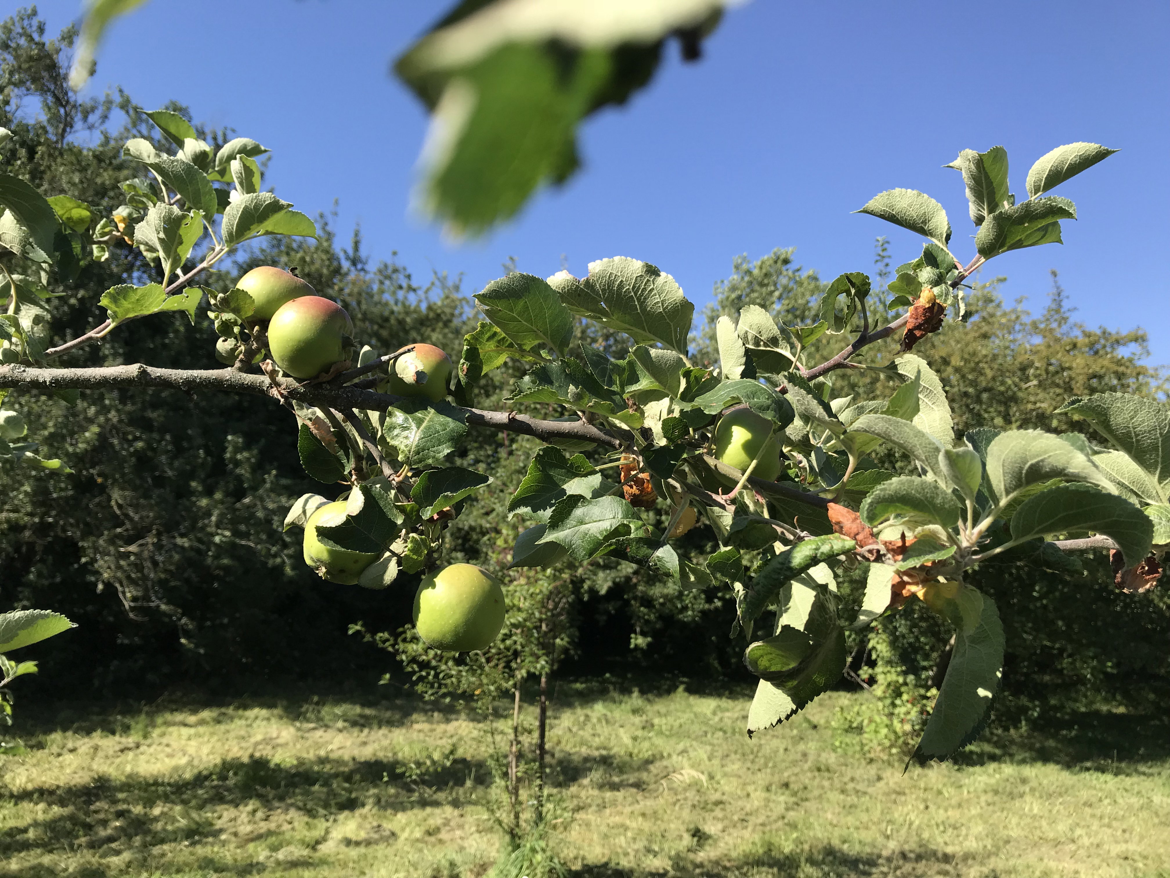 Natuurhuisje in Lapeyrouse