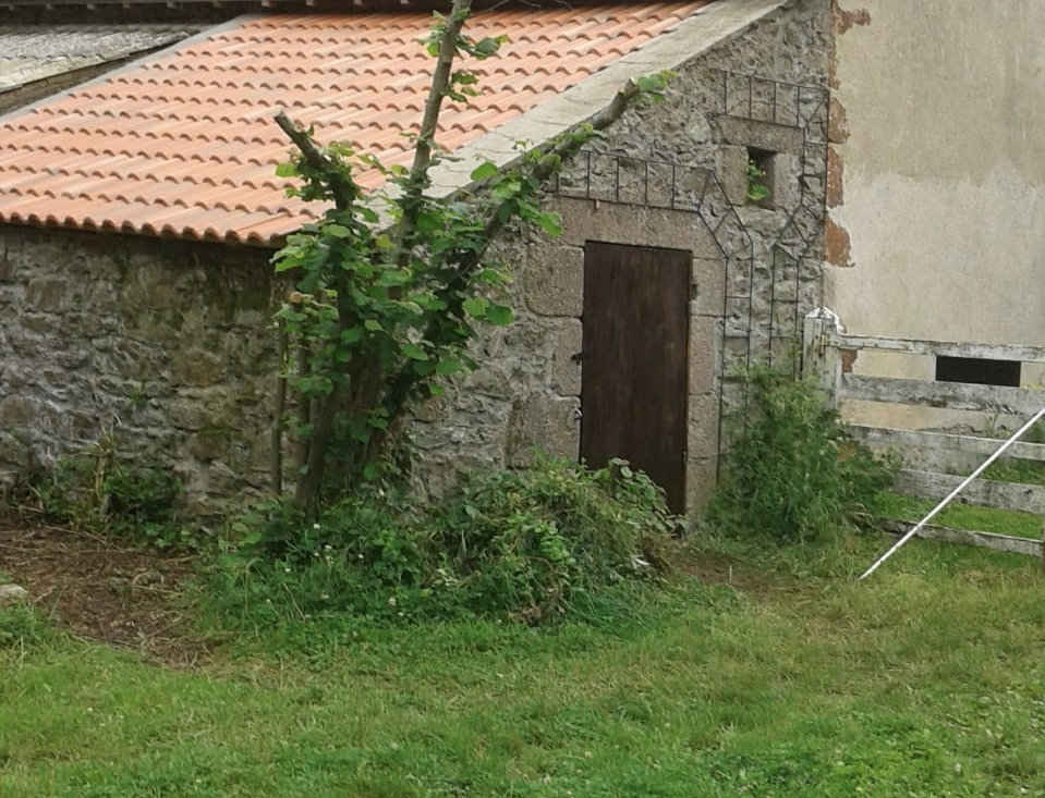 - image: 43