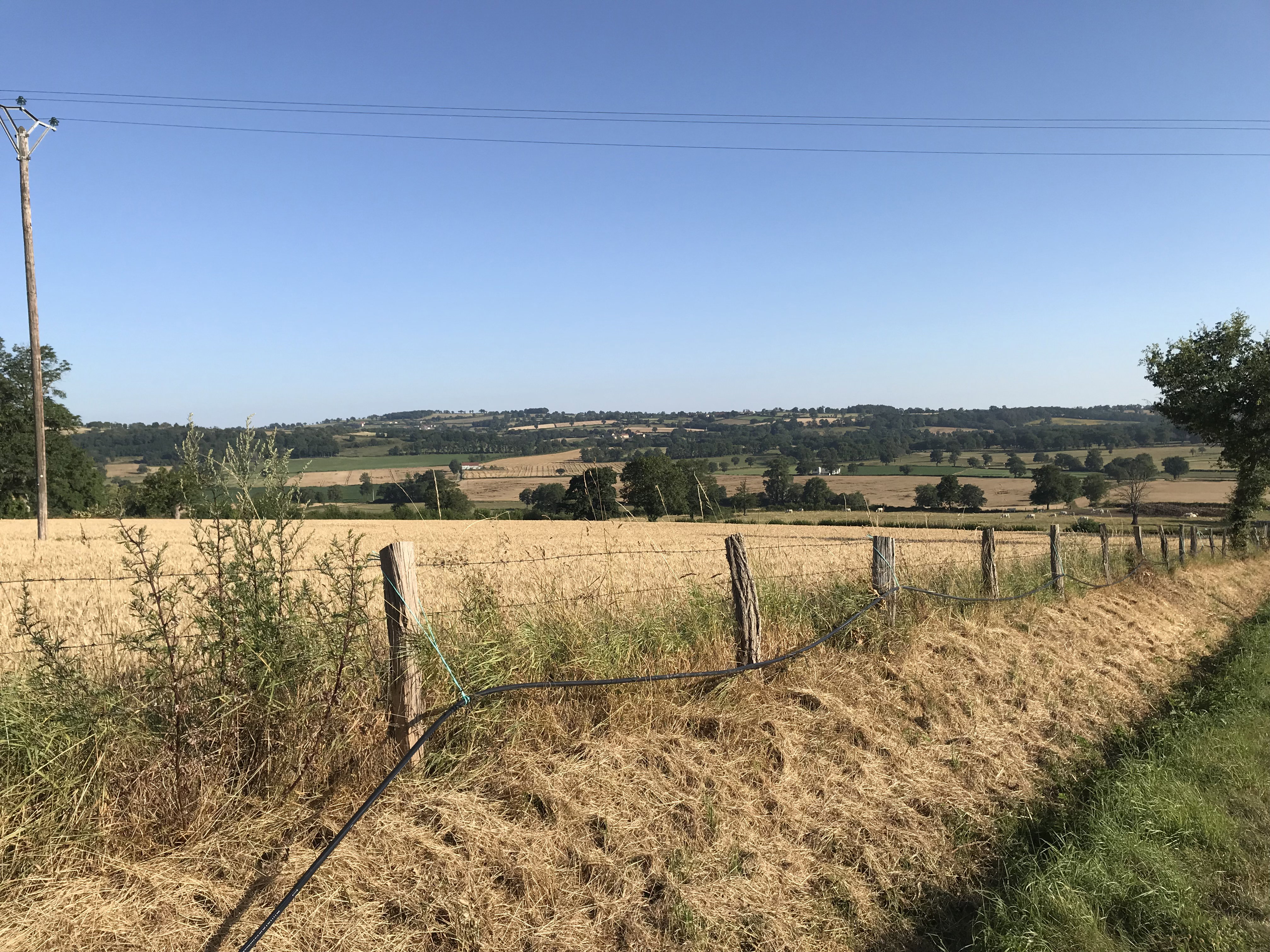 Natuurhuisje in Lapeyrouse