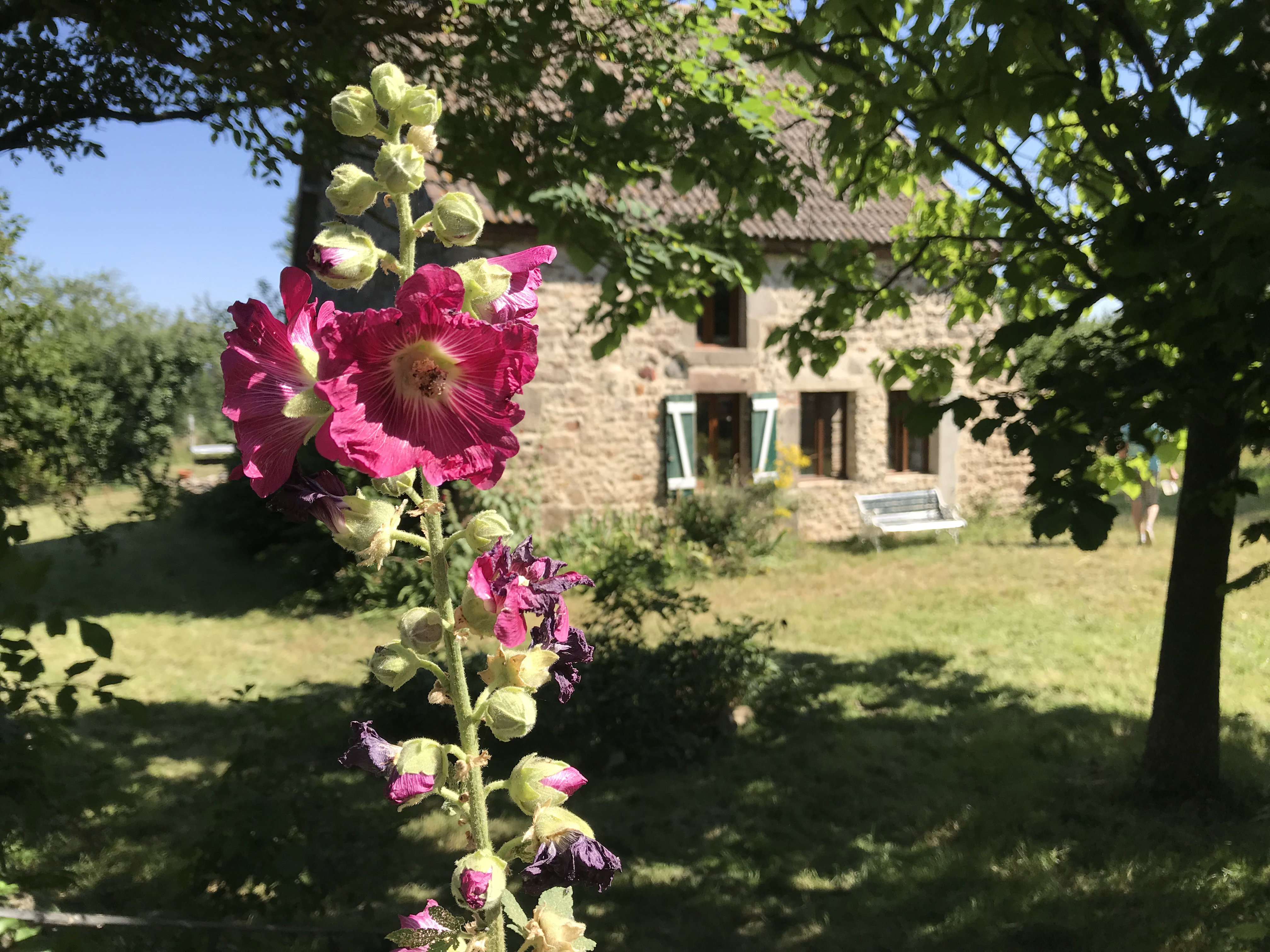 Natuurhuisje in Lapeyrouse