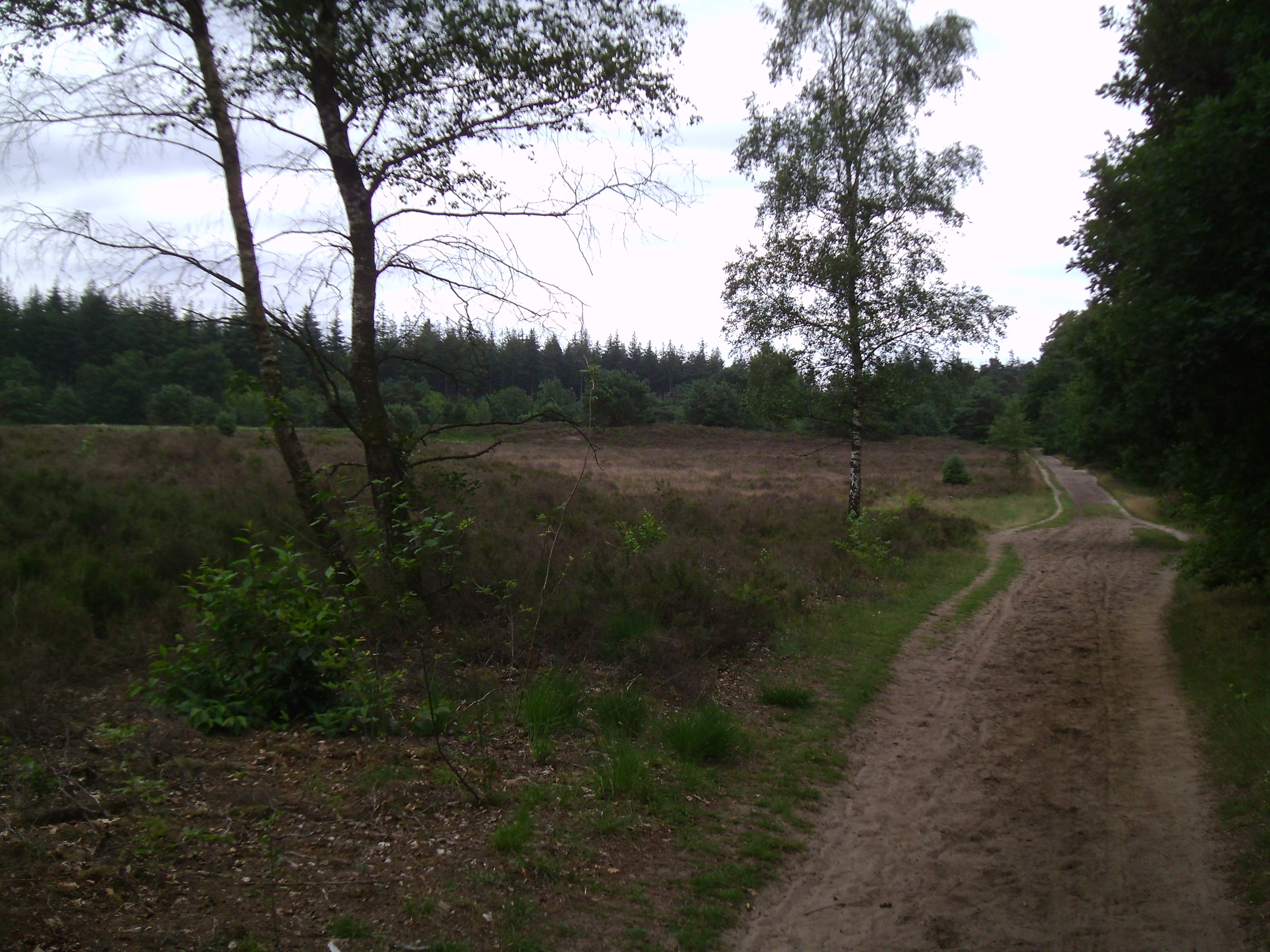 - image: 26