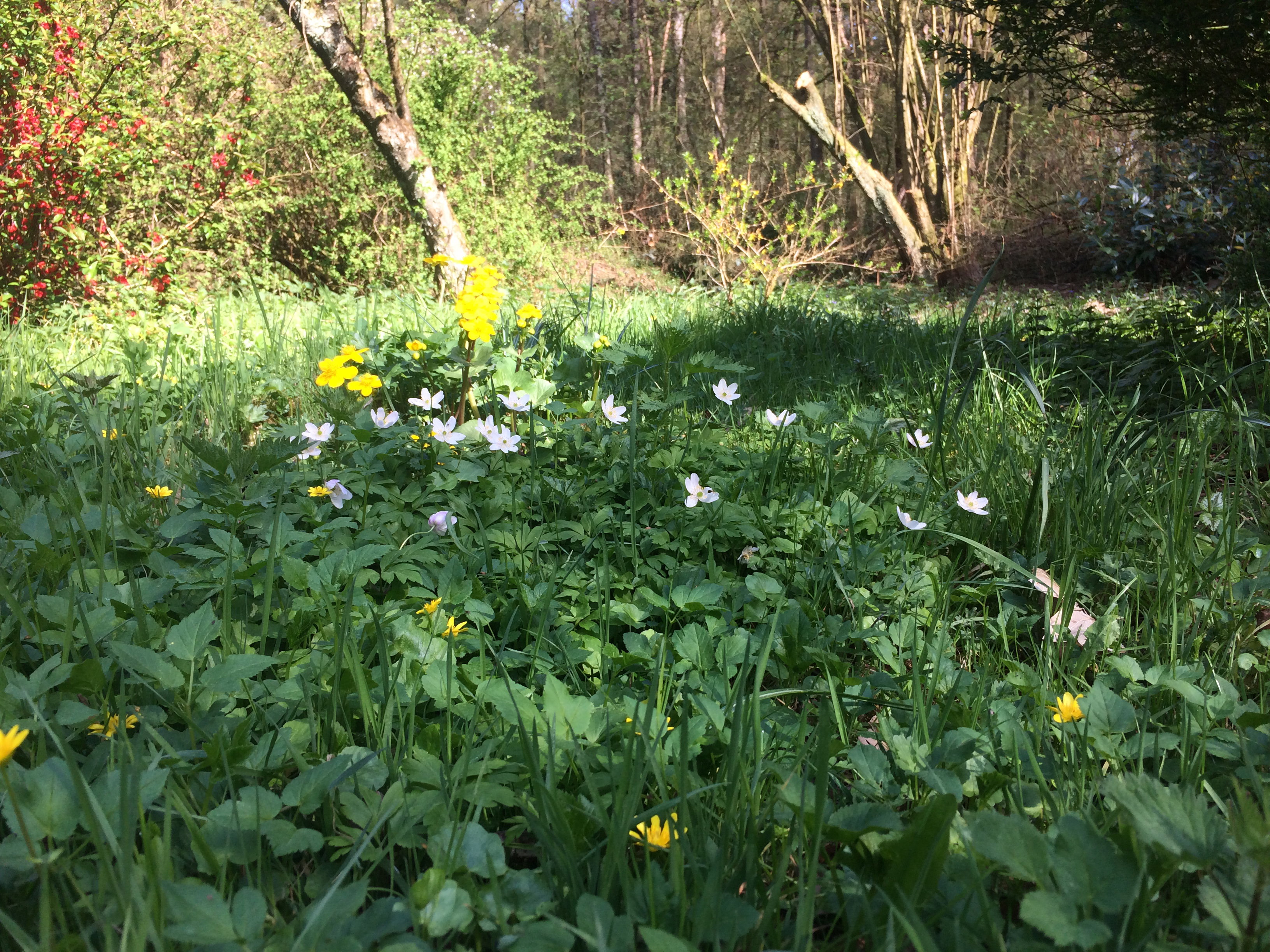 Maison nature à Klarenbeek