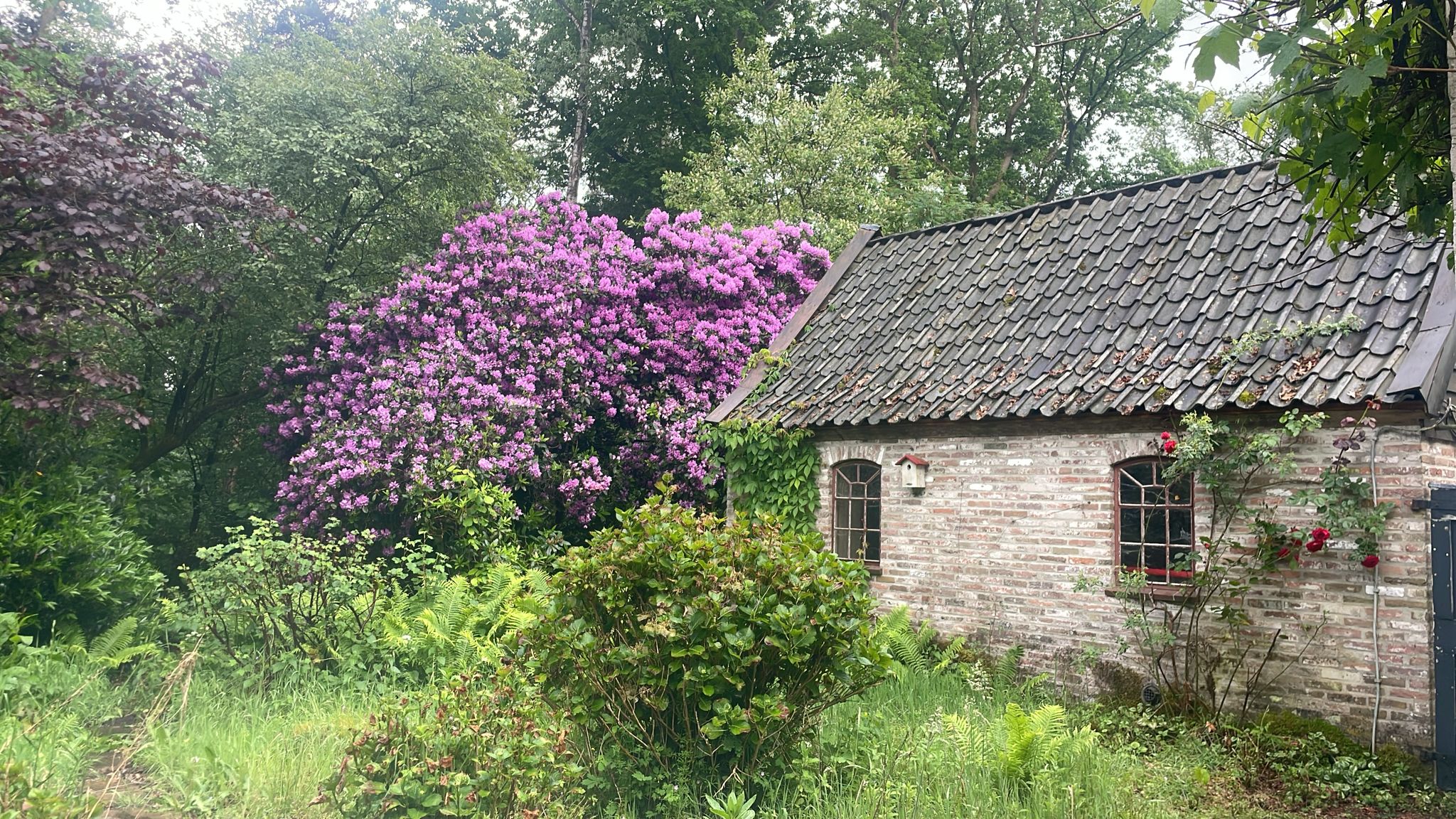 Naturhäuschen in Klarenbeek