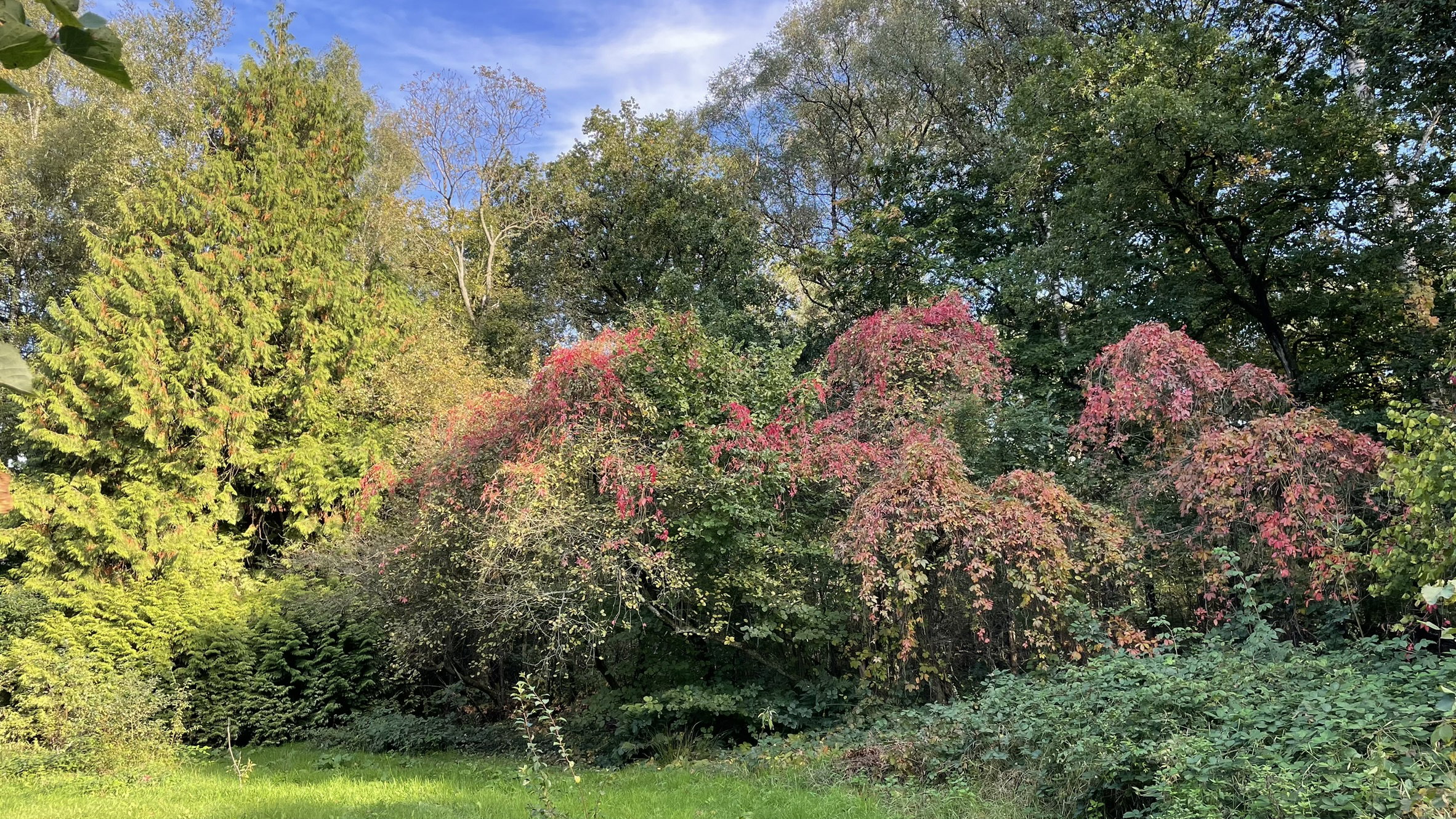 Natuurhuisje in Klarenbeek
