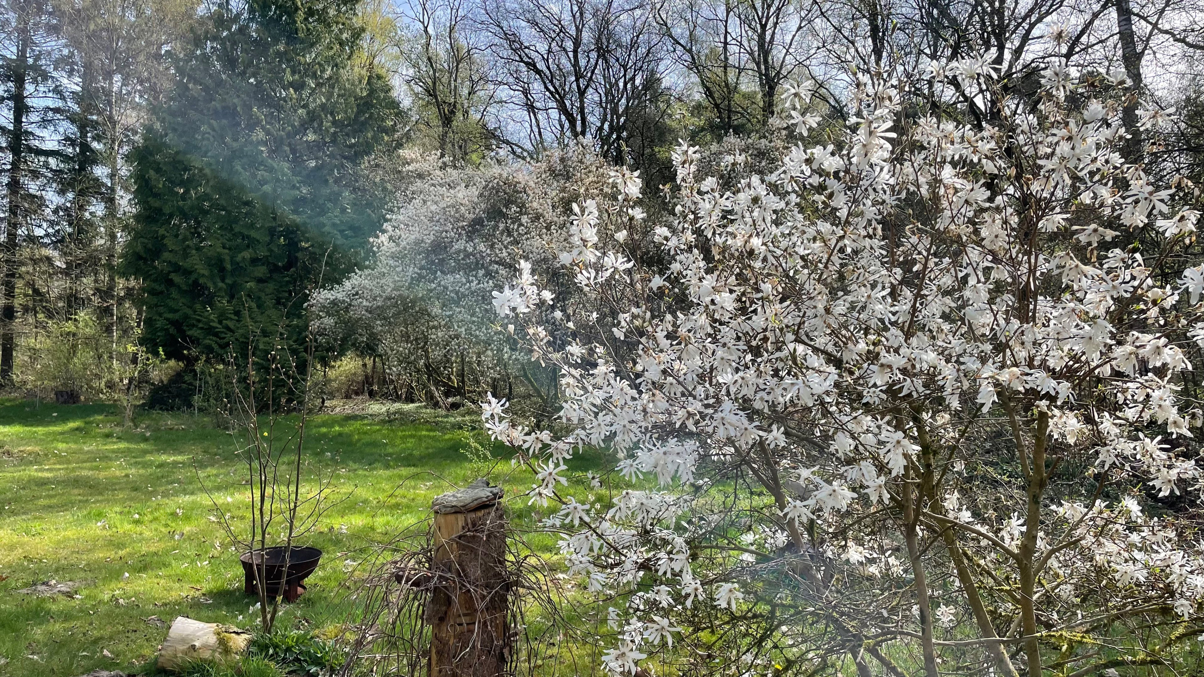 Natuurhuisje in Klarenbeek