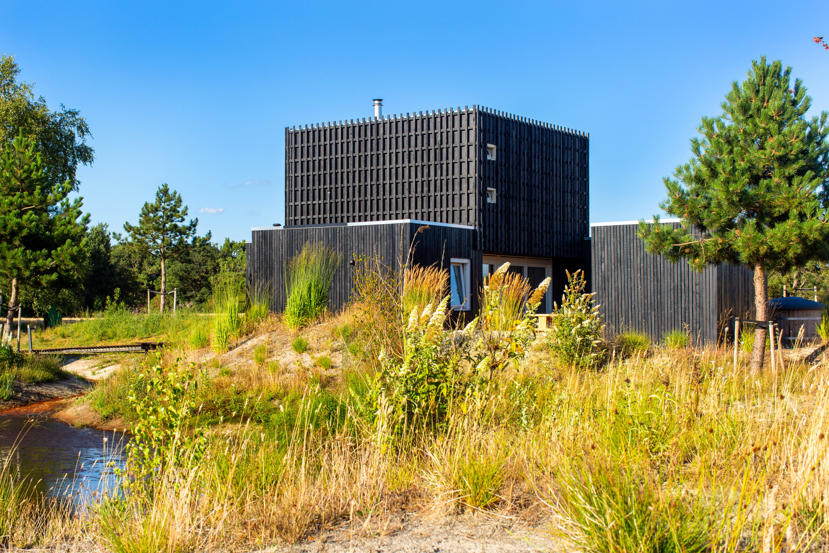 Maison nature à Wapserveen