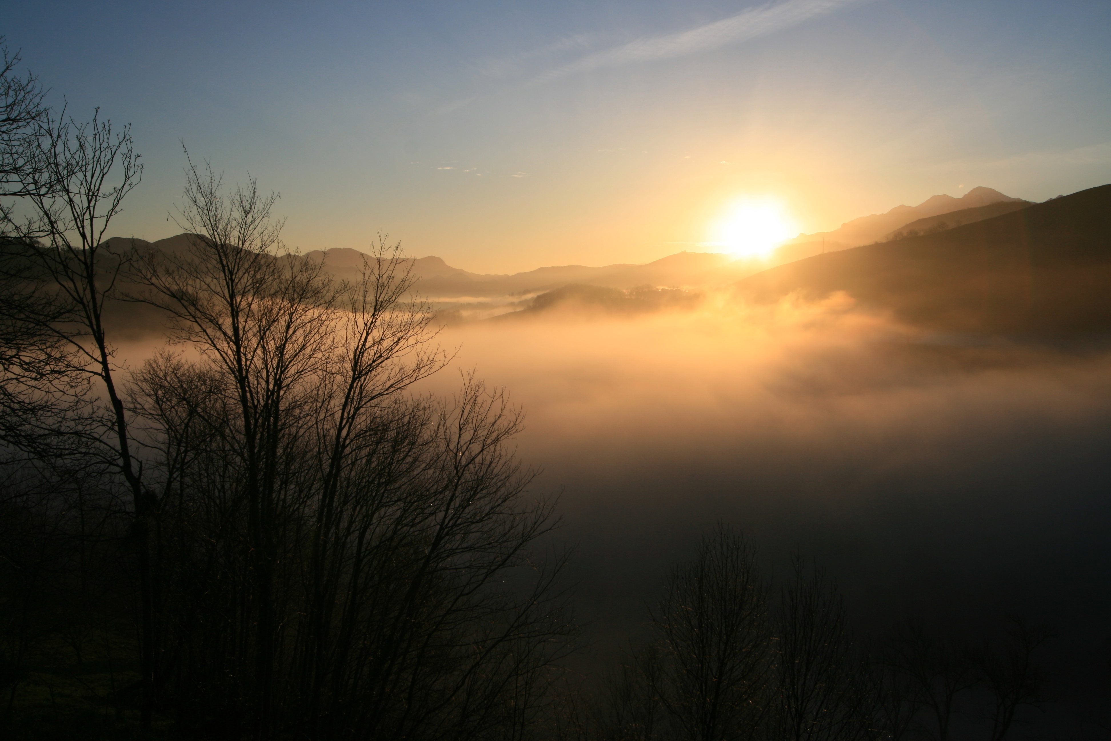 - image: 10