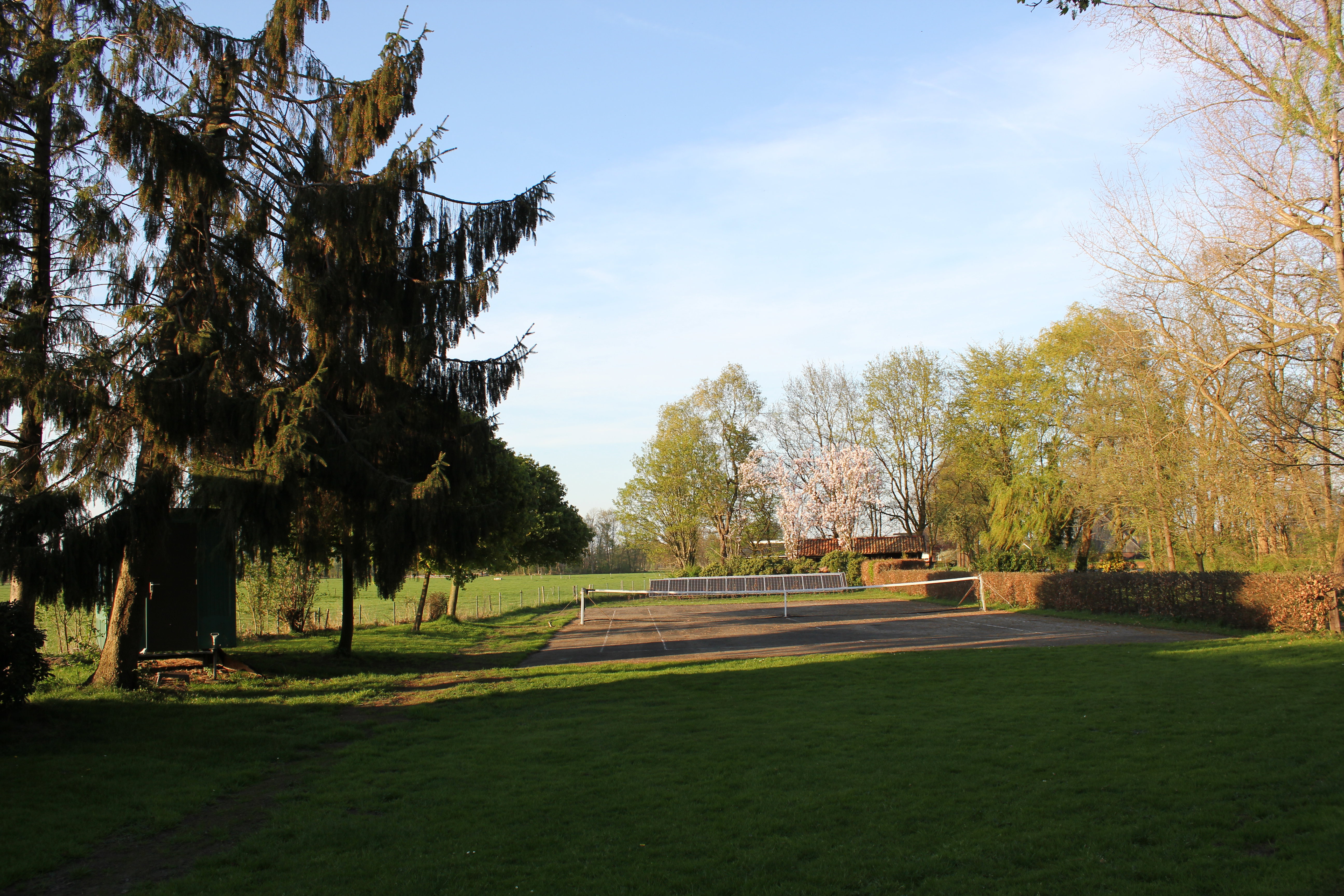 - image: 11