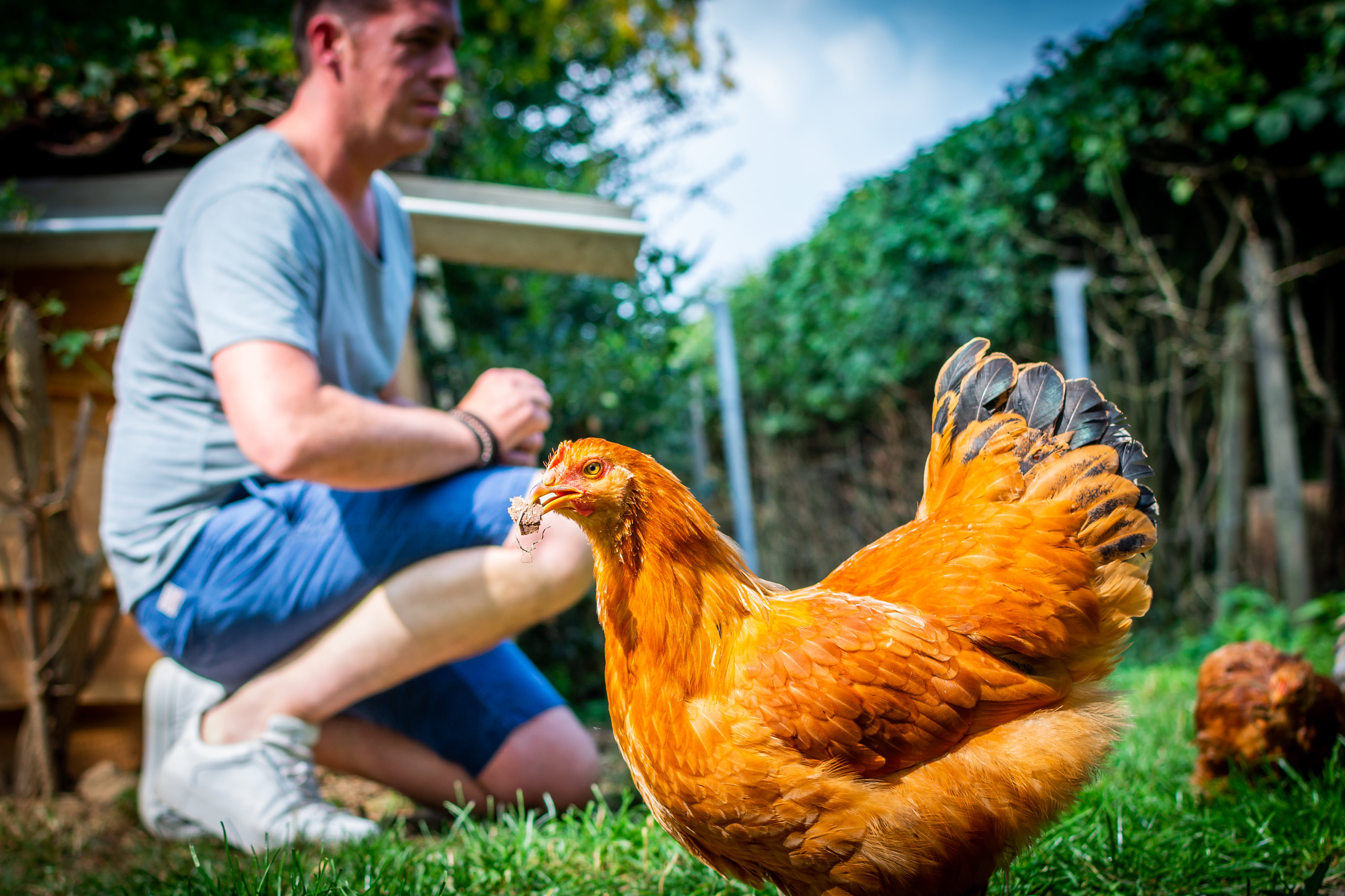 - image: 16