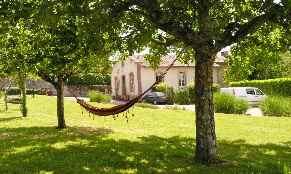 - image: 11