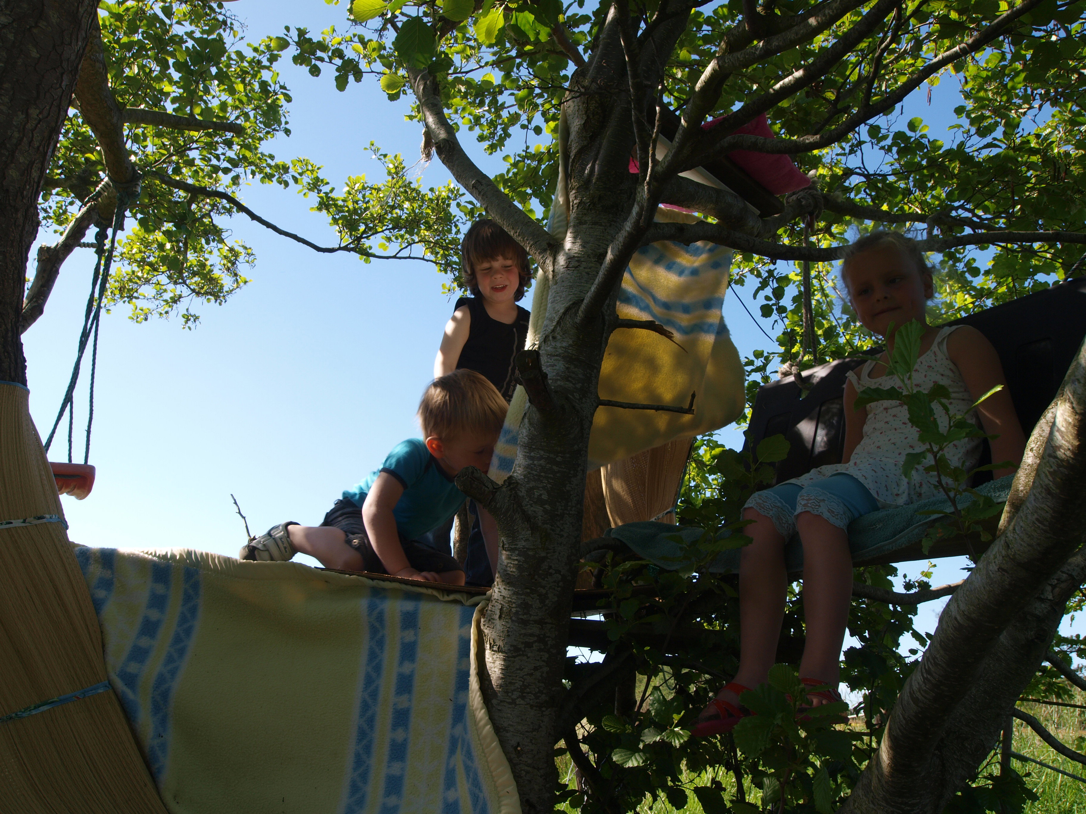 Nature house in Boijl