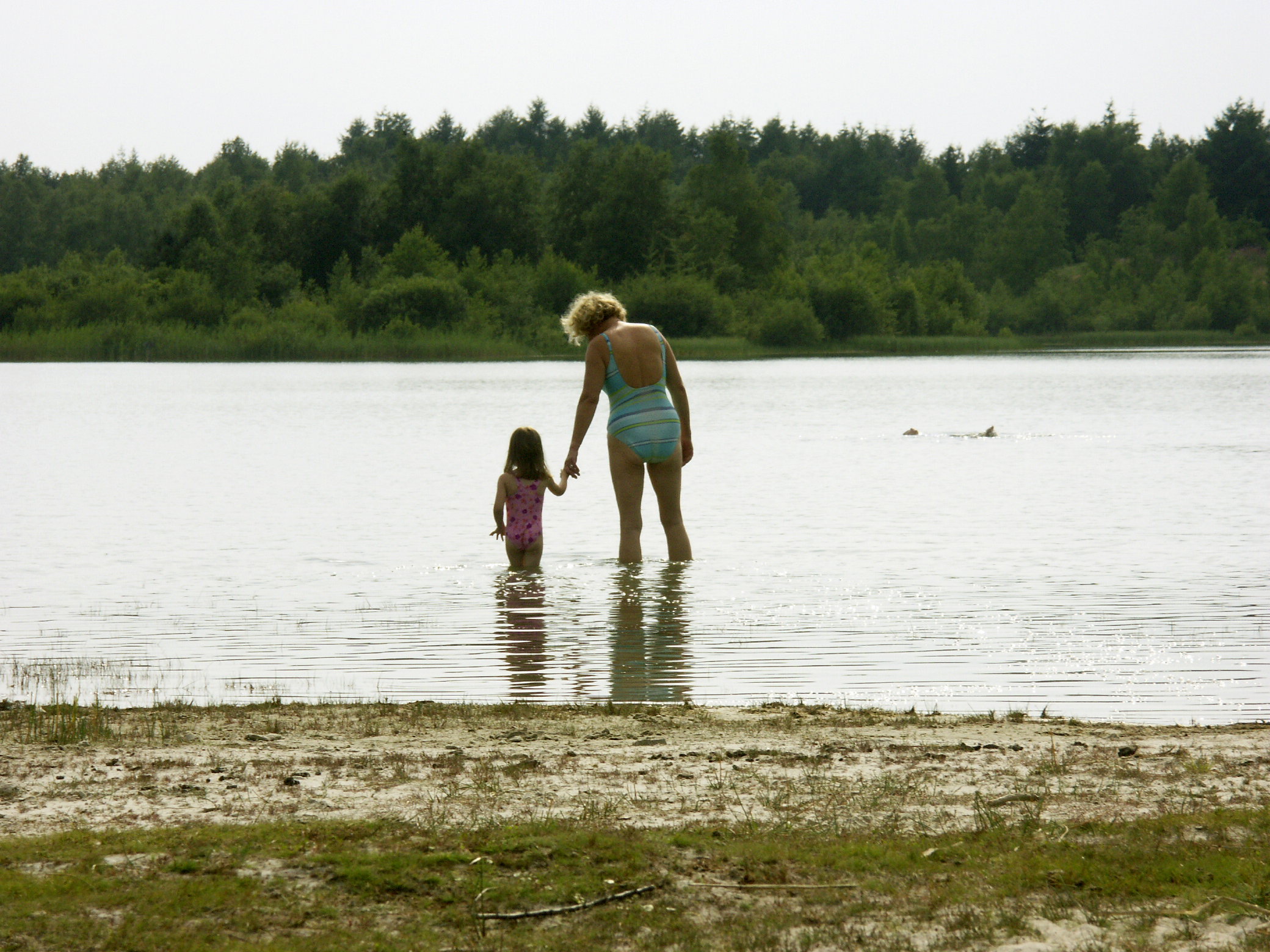 - image: 24