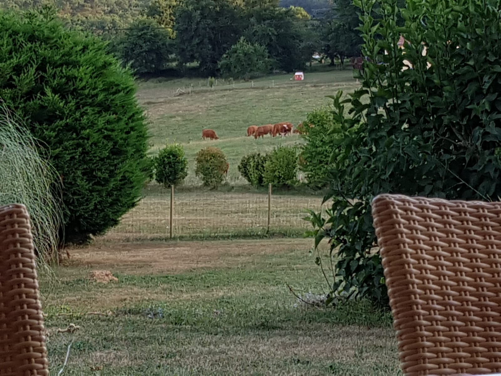 Maison nature à Goujounac