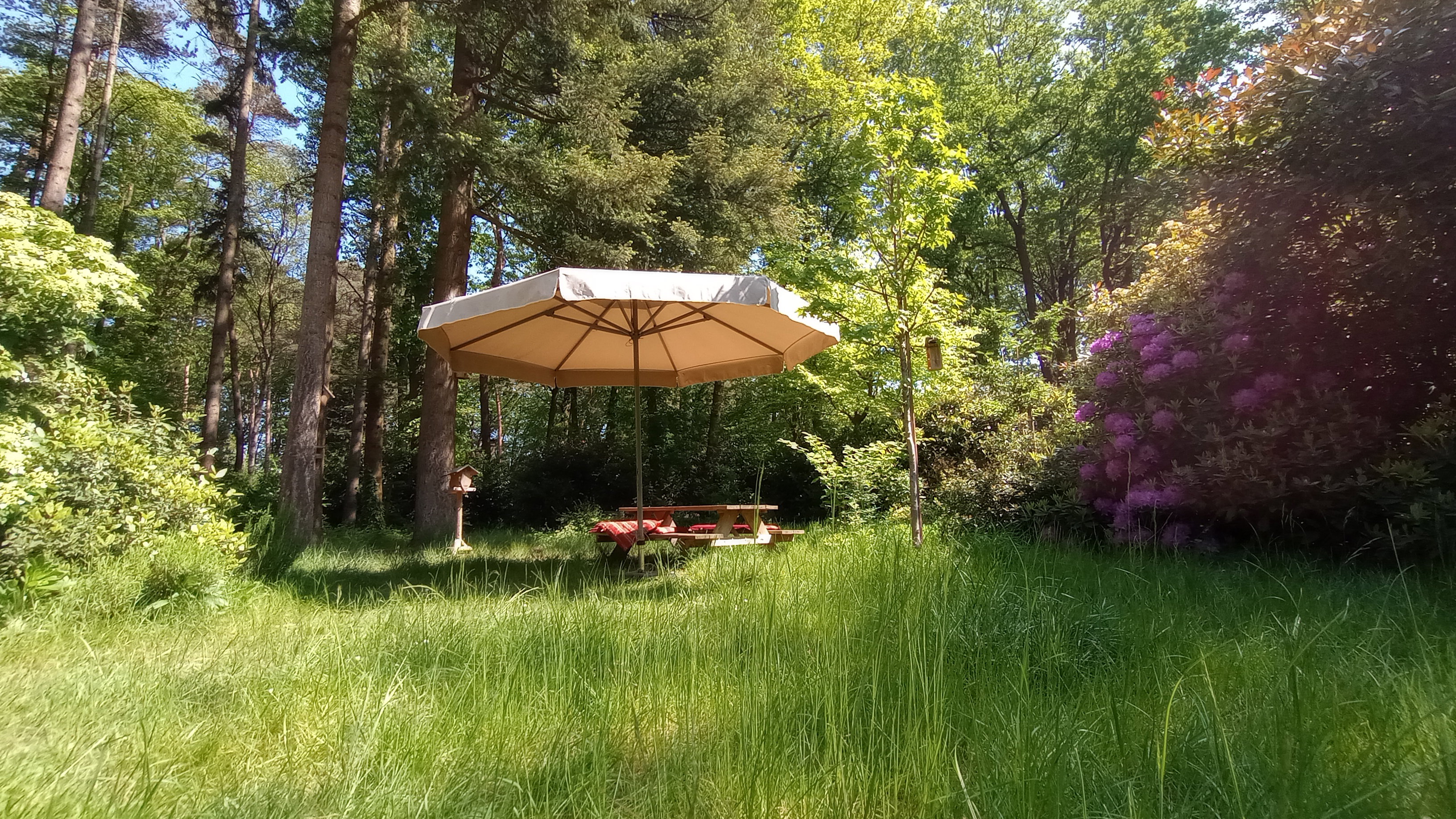 Naturhäuschen in Harfsen