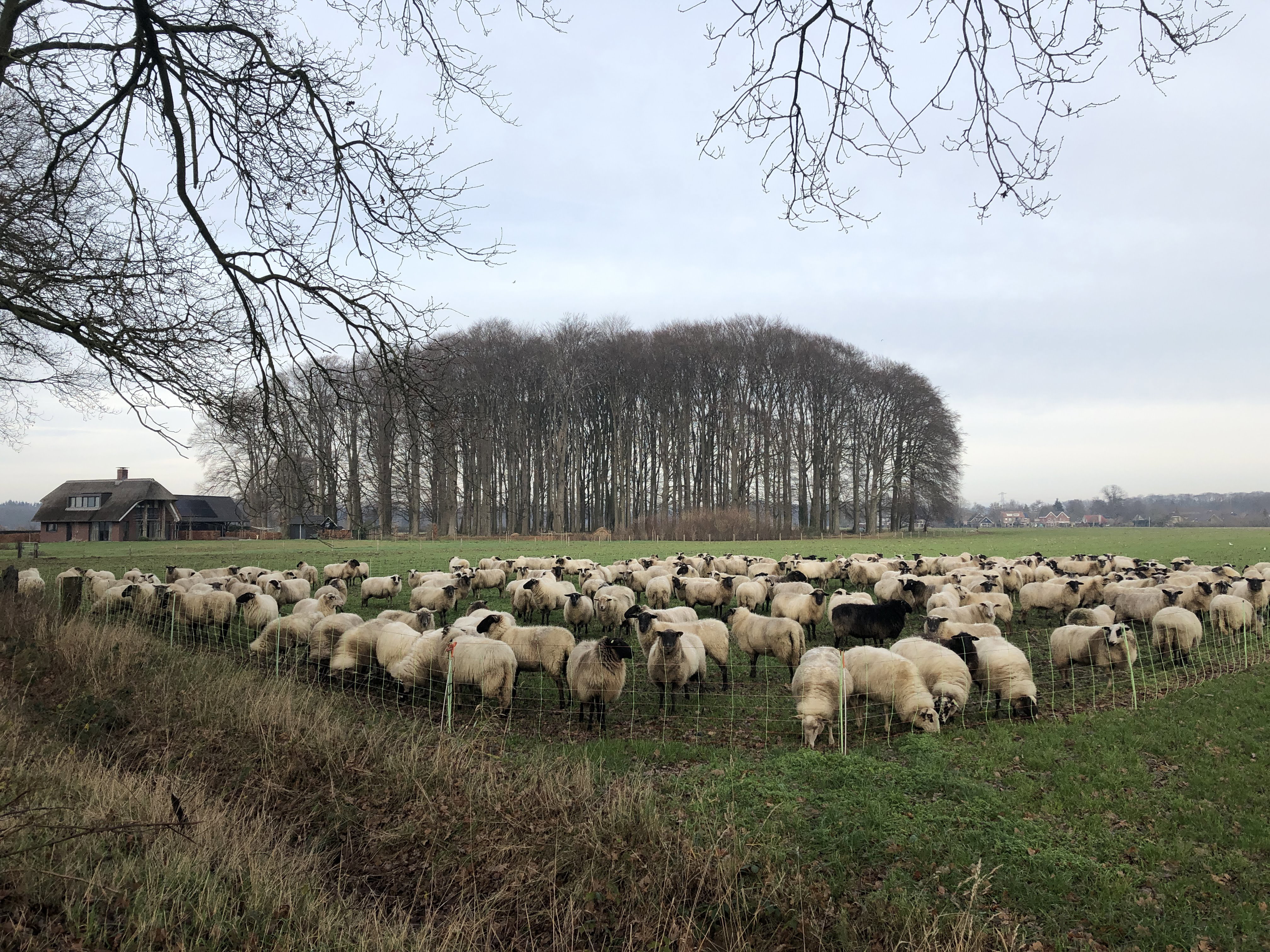 Naturhäuschen in Harfsen