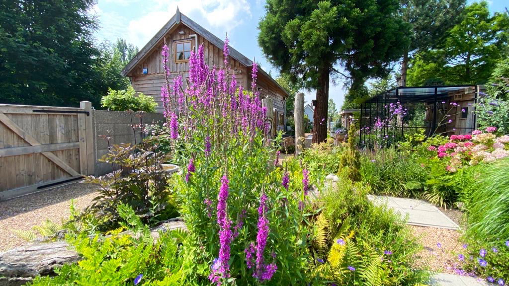 Maison nature à Dinteloord