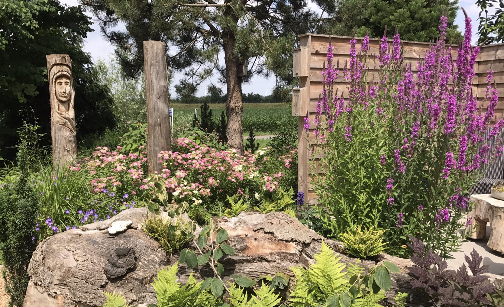 Maison nature à Dinteloord