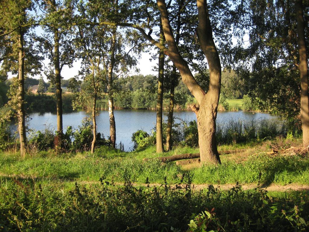 - image: 14