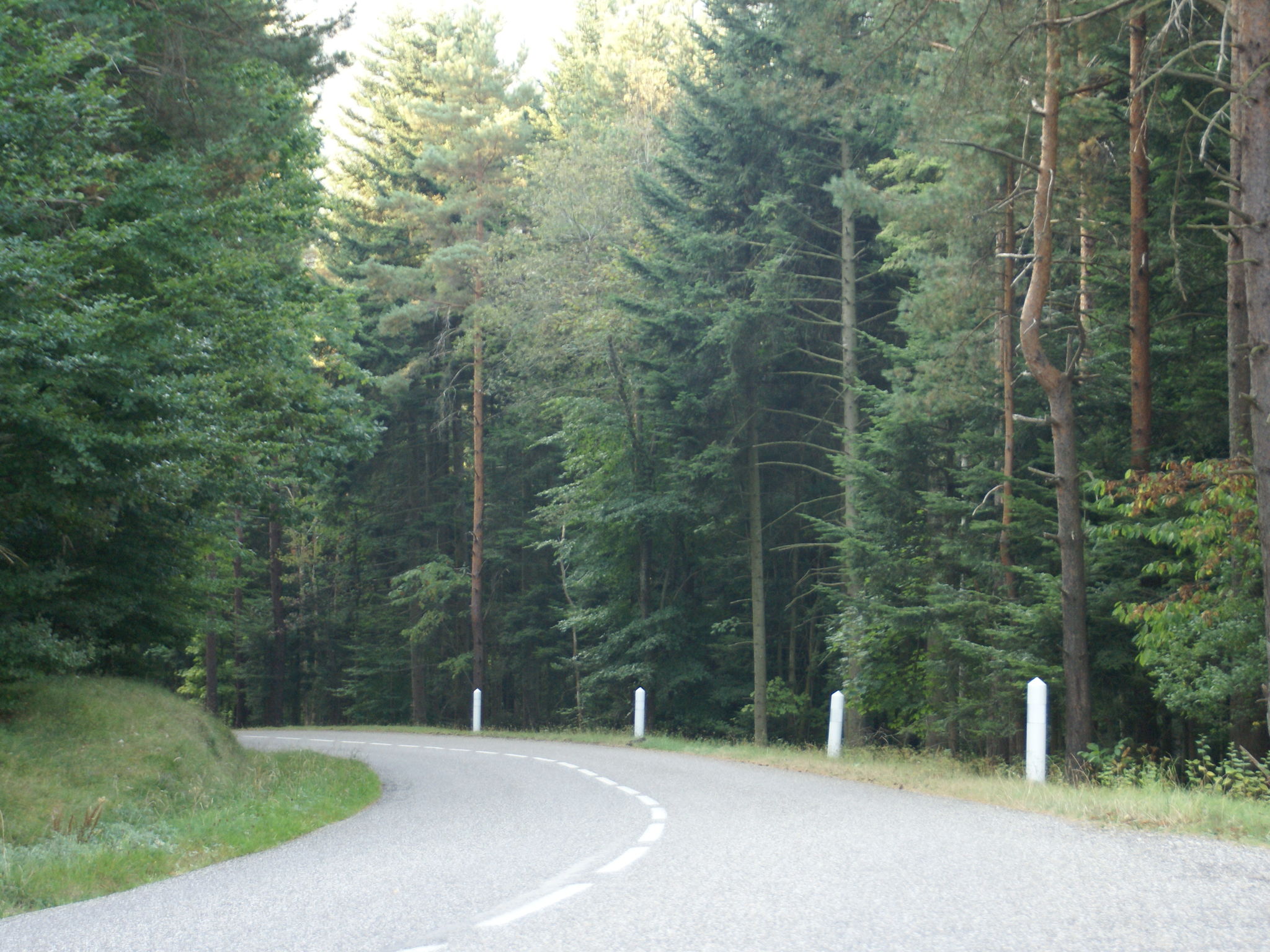 - image: 26
