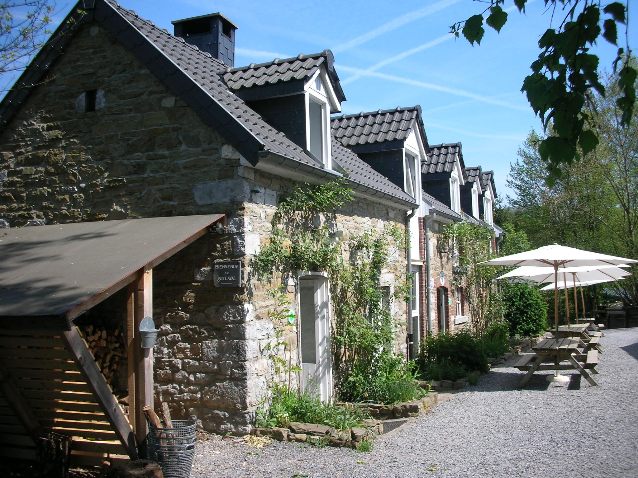 - image: 1