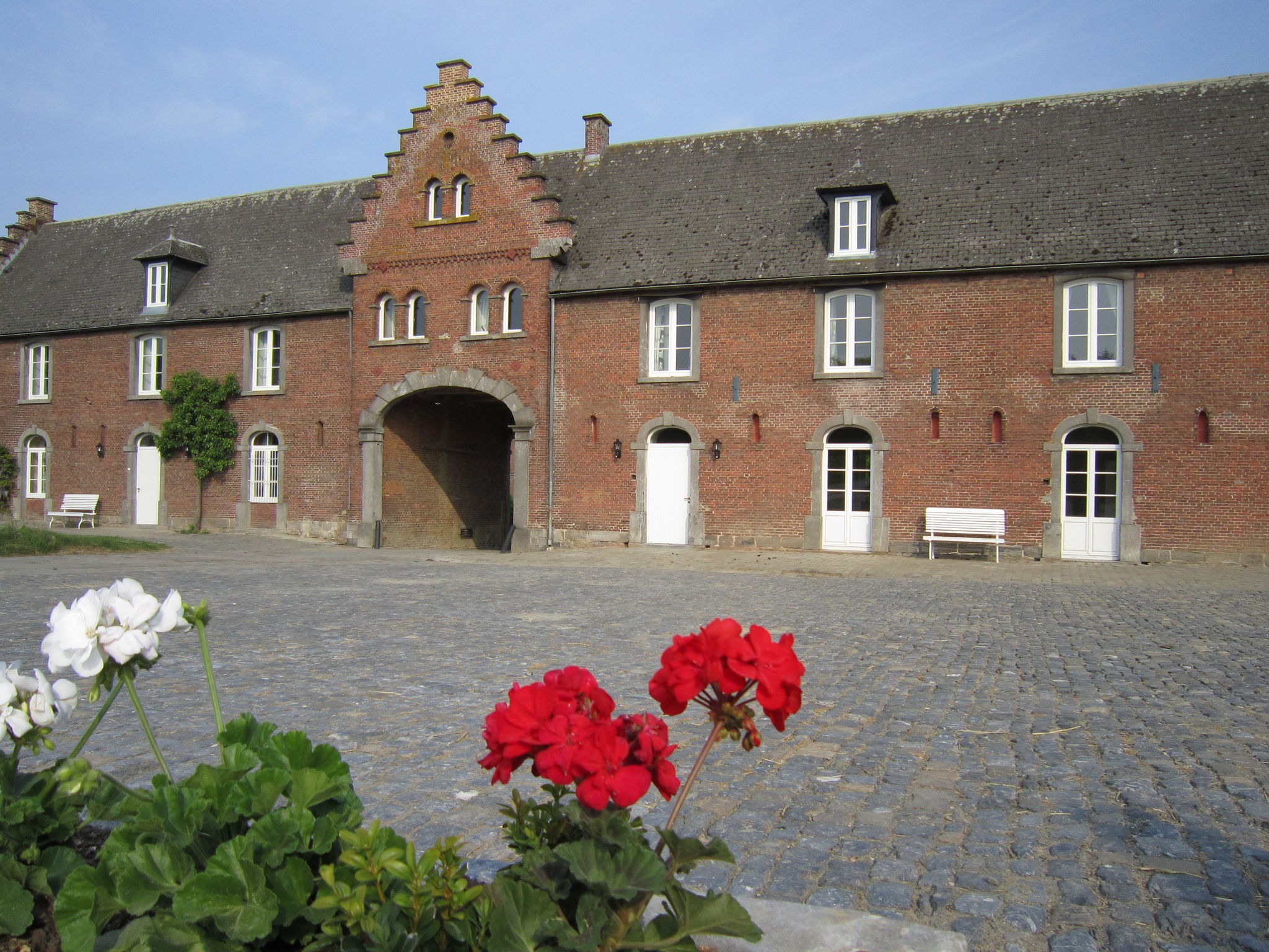 - image: 4