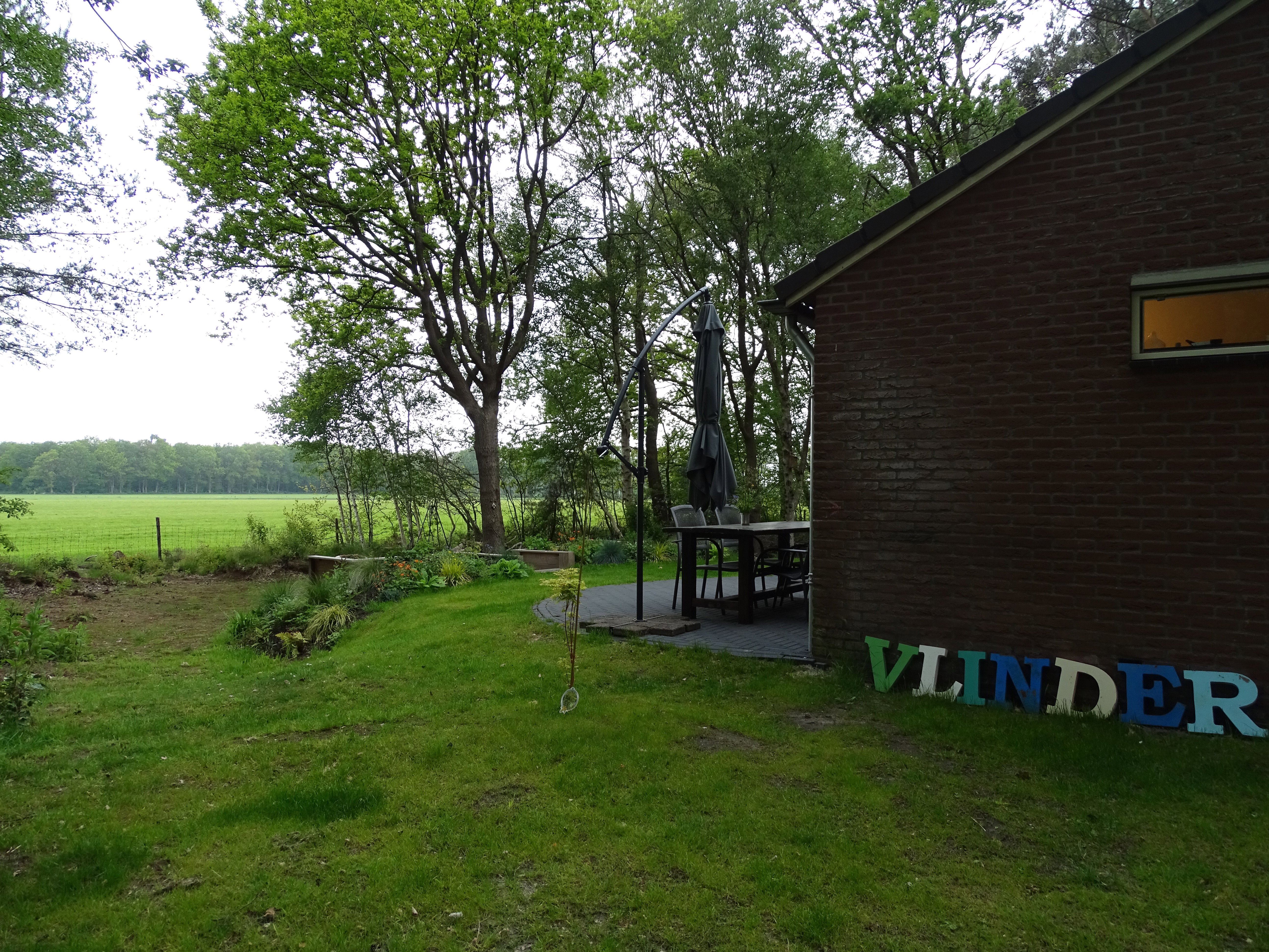 - image: 12