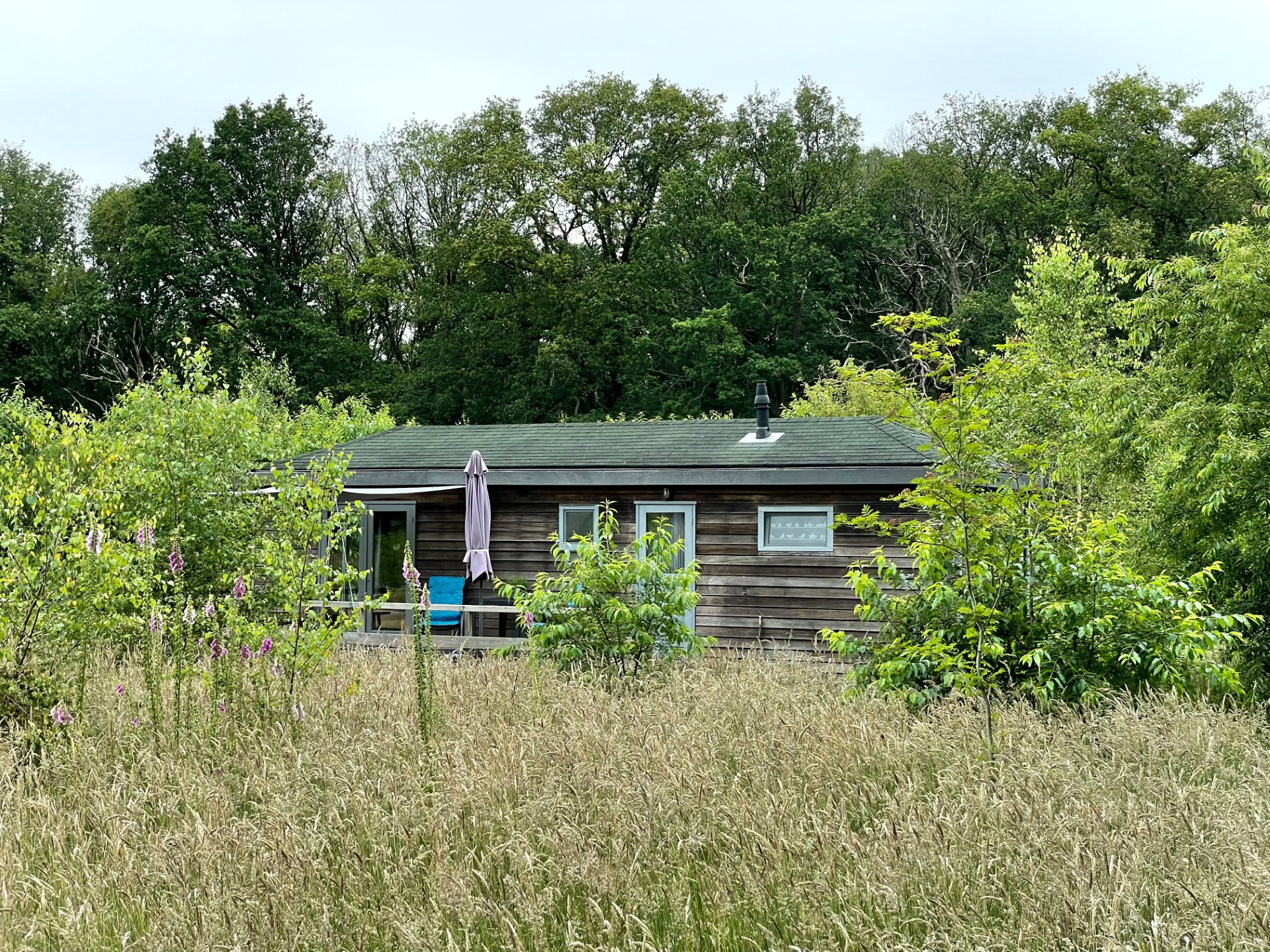 Naturhäuschen in Dwingeloo