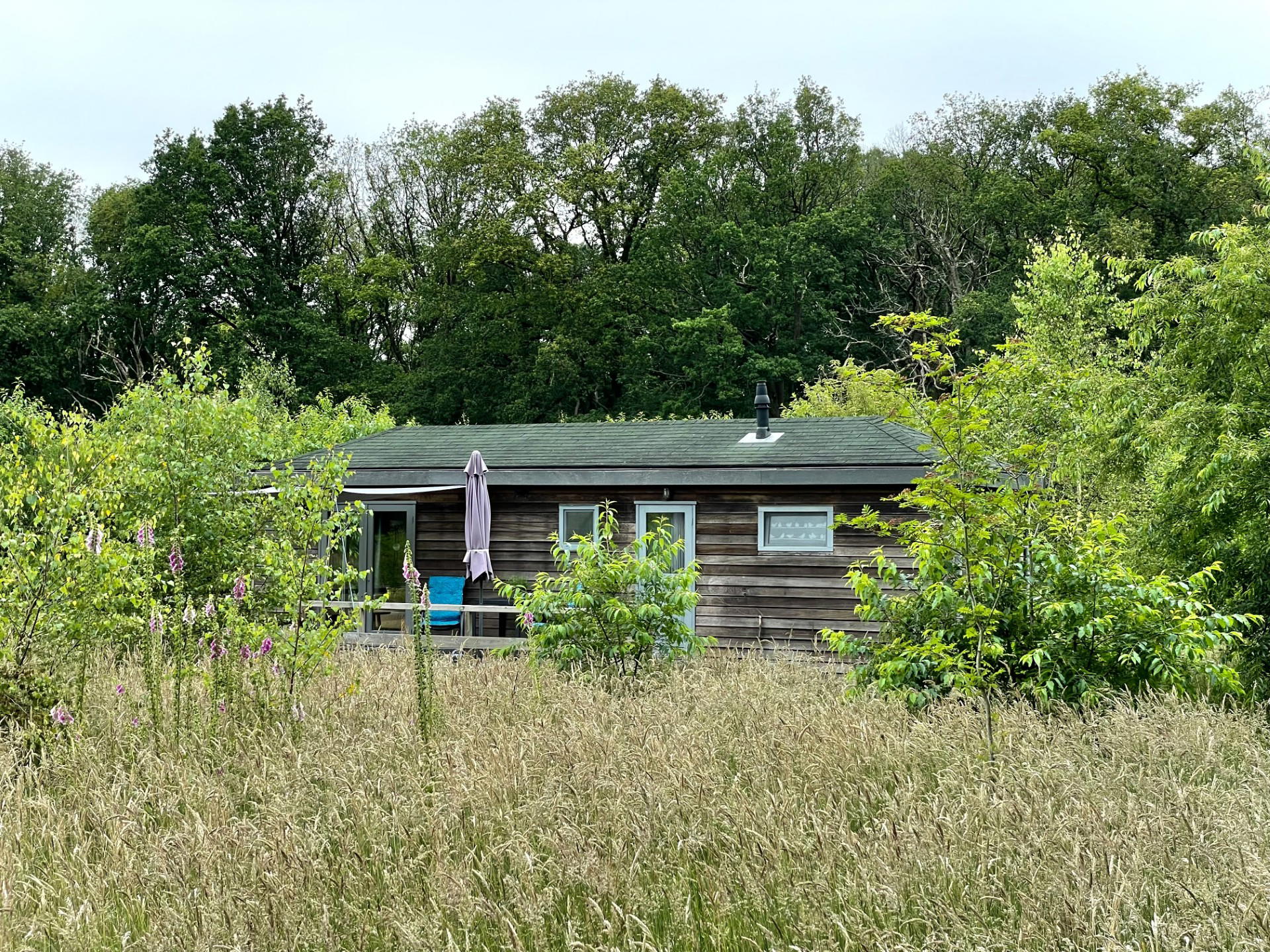 Nature house in Dwingeloo