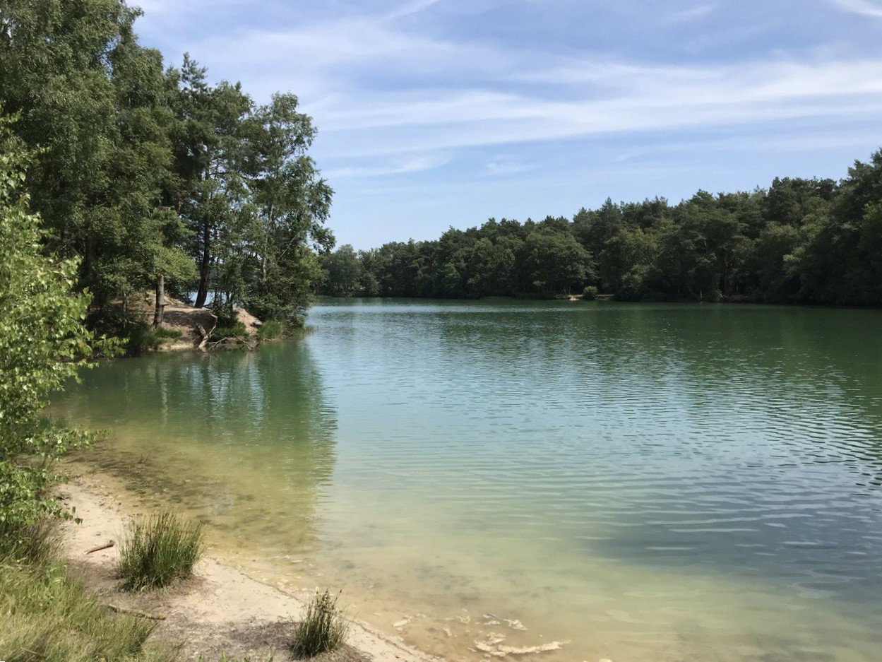 Naturhäuschen in Dwingeloo