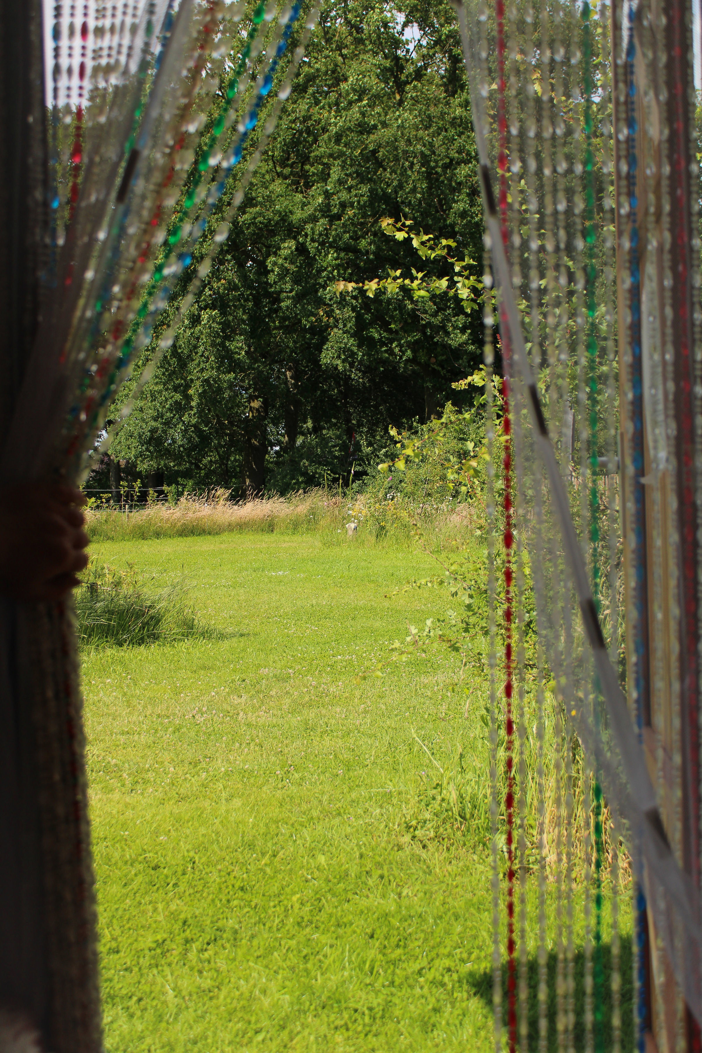 Naturhäuschen in Okkenbroek