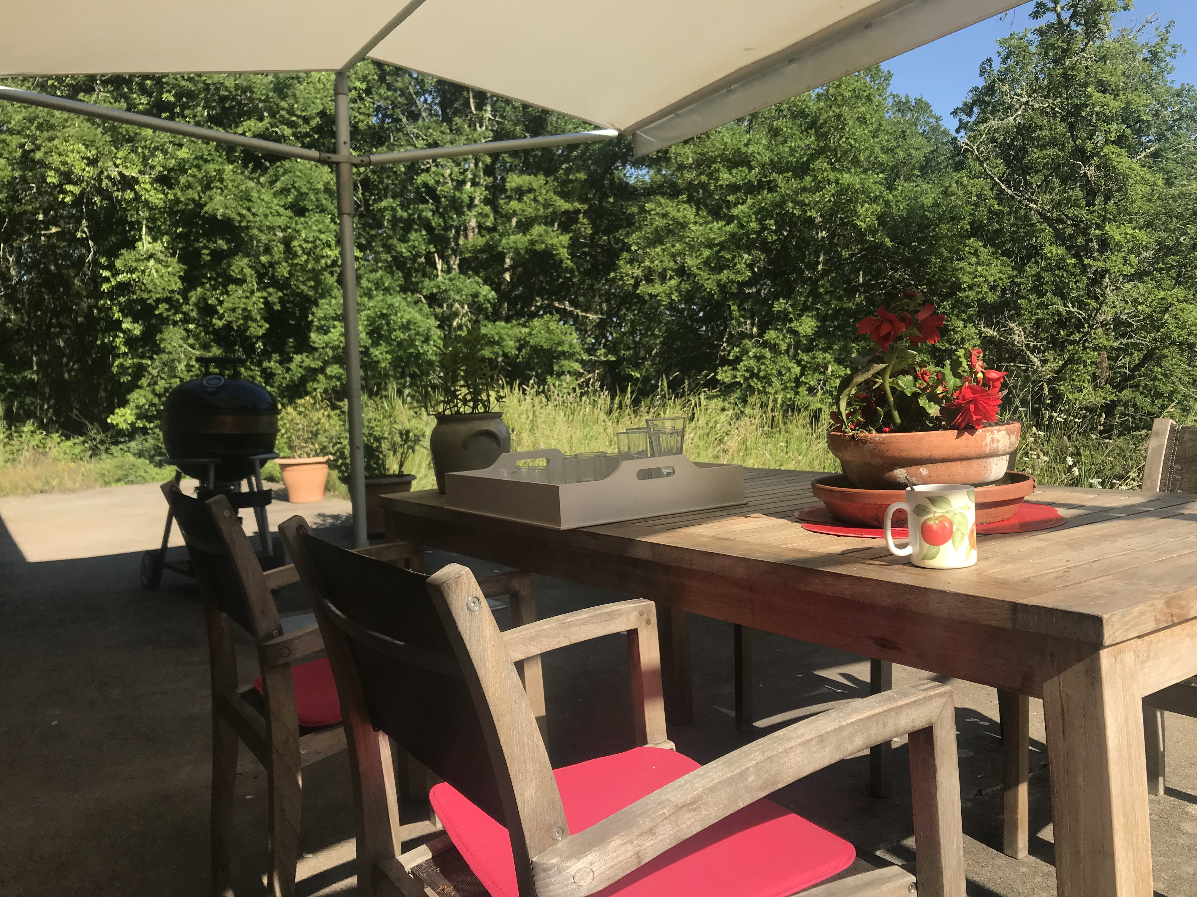 Natuurhuisje in Thedirac