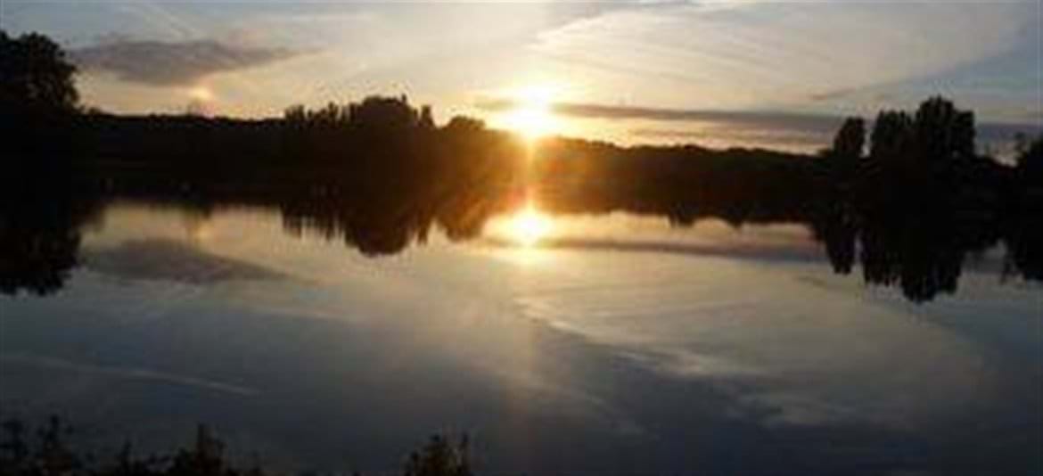 - image: 23