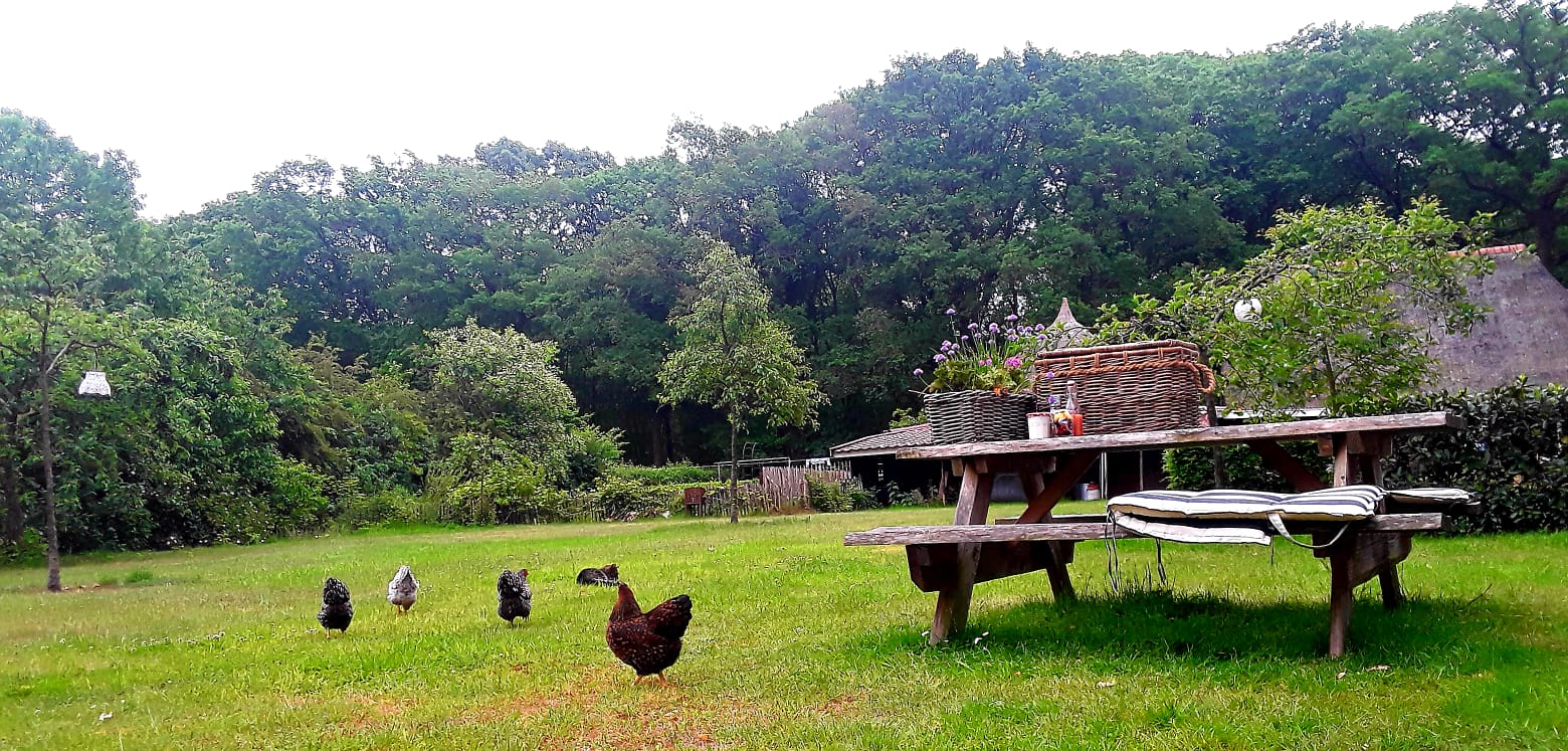 Maison nature à Markelo