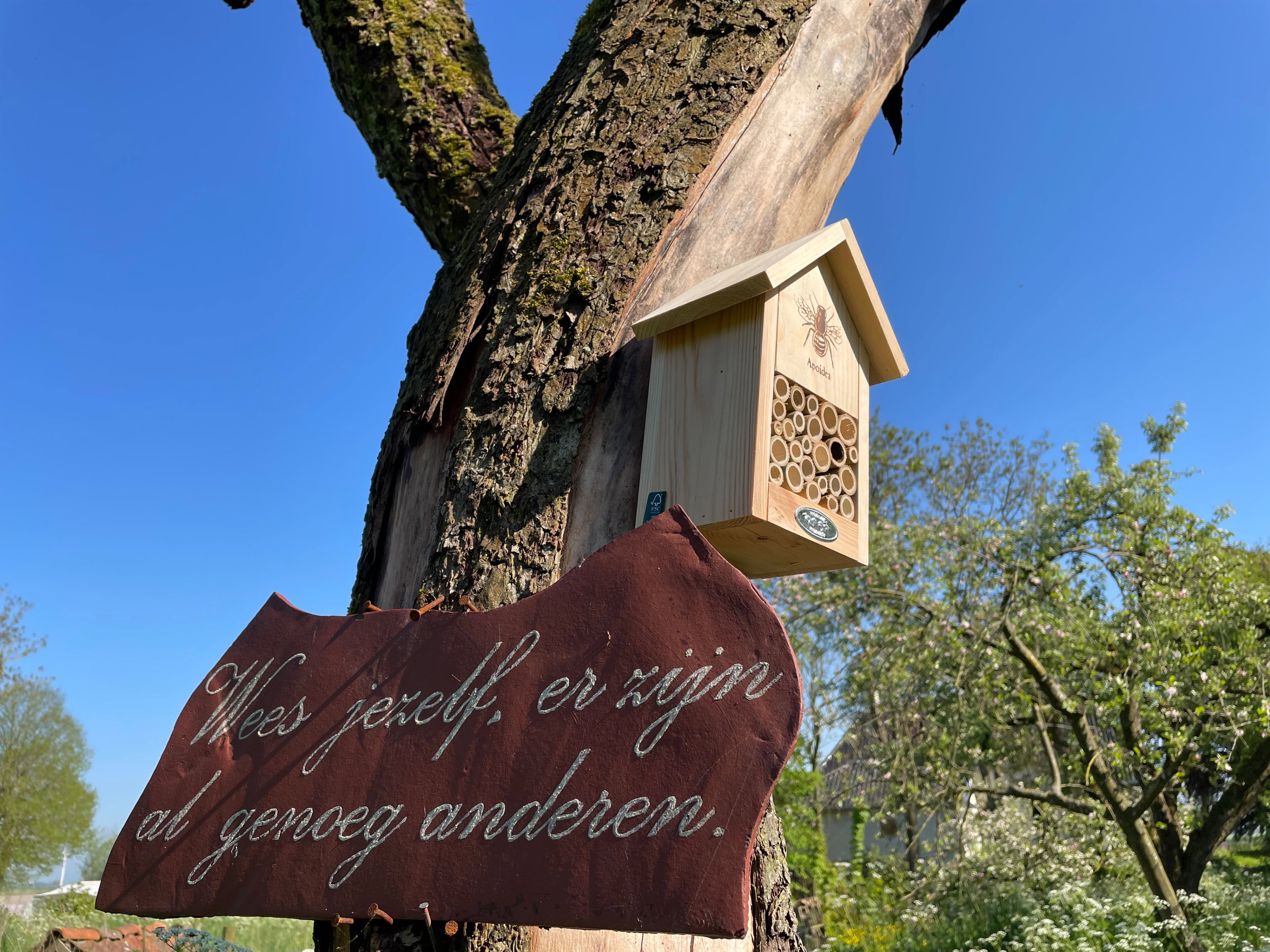 - image: 31