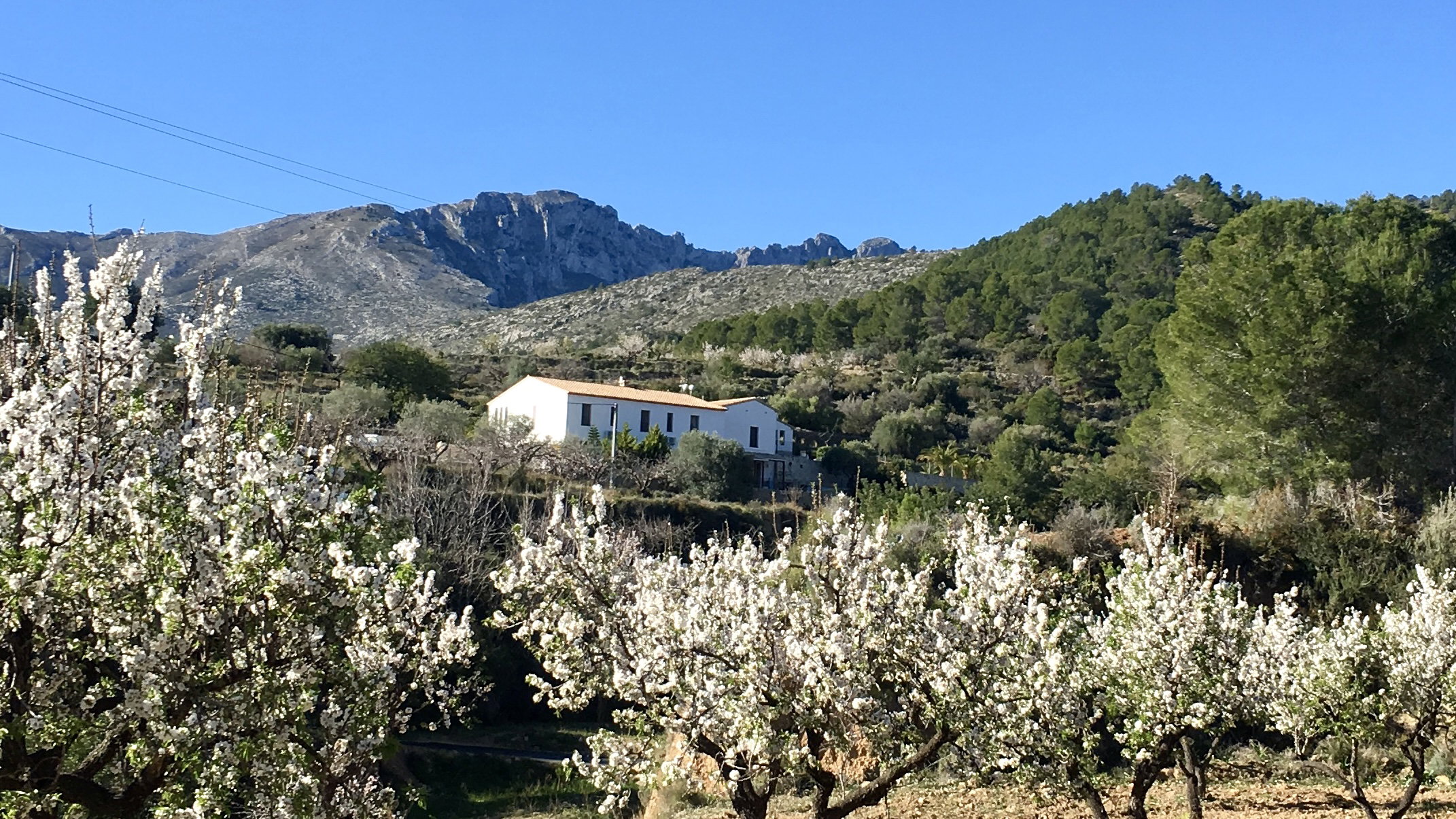 Naturhäuschen in Benissa