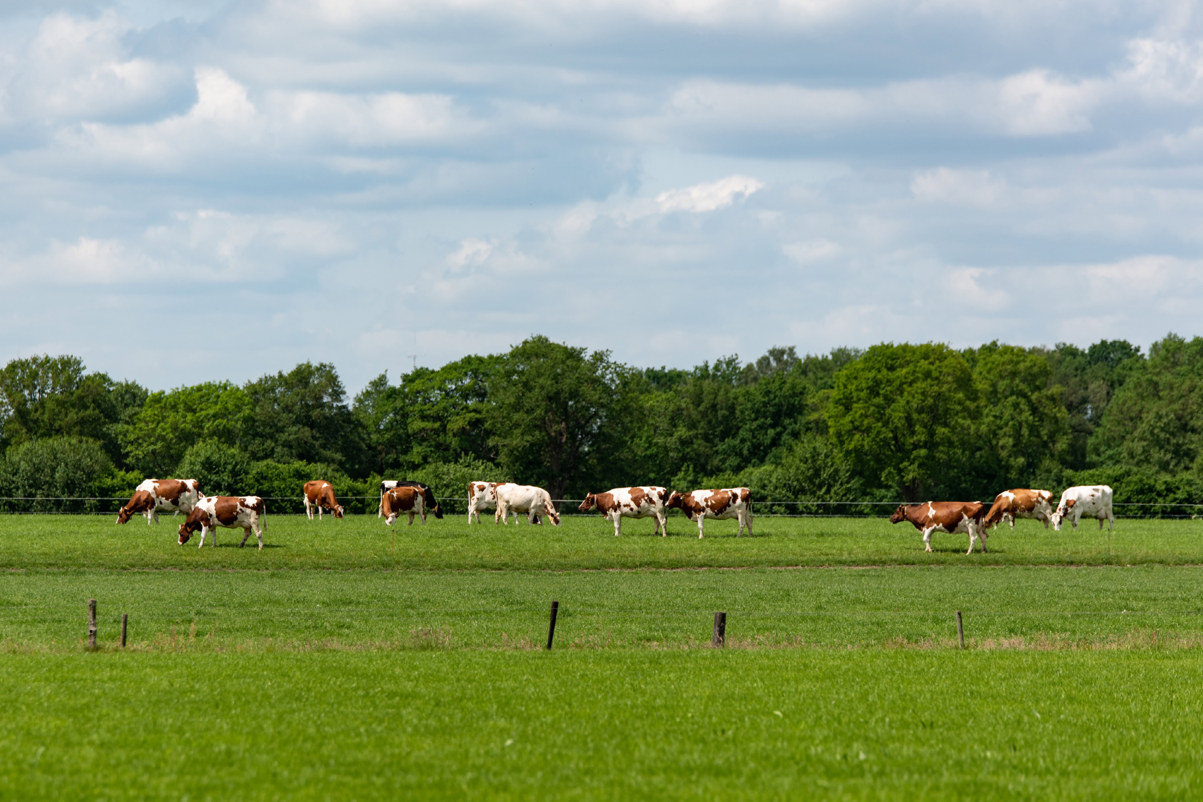 Naturhäuschen in Beuningen