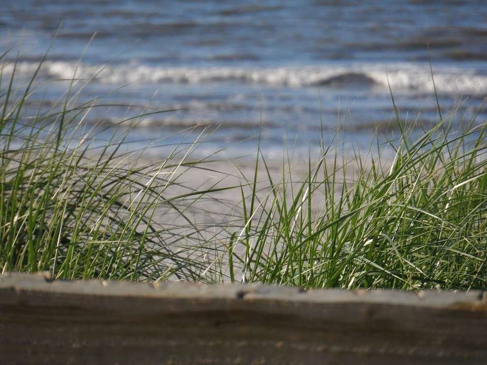 - image: 14