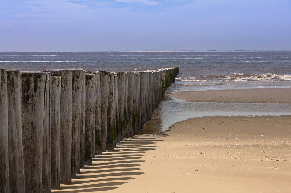 - image: 13