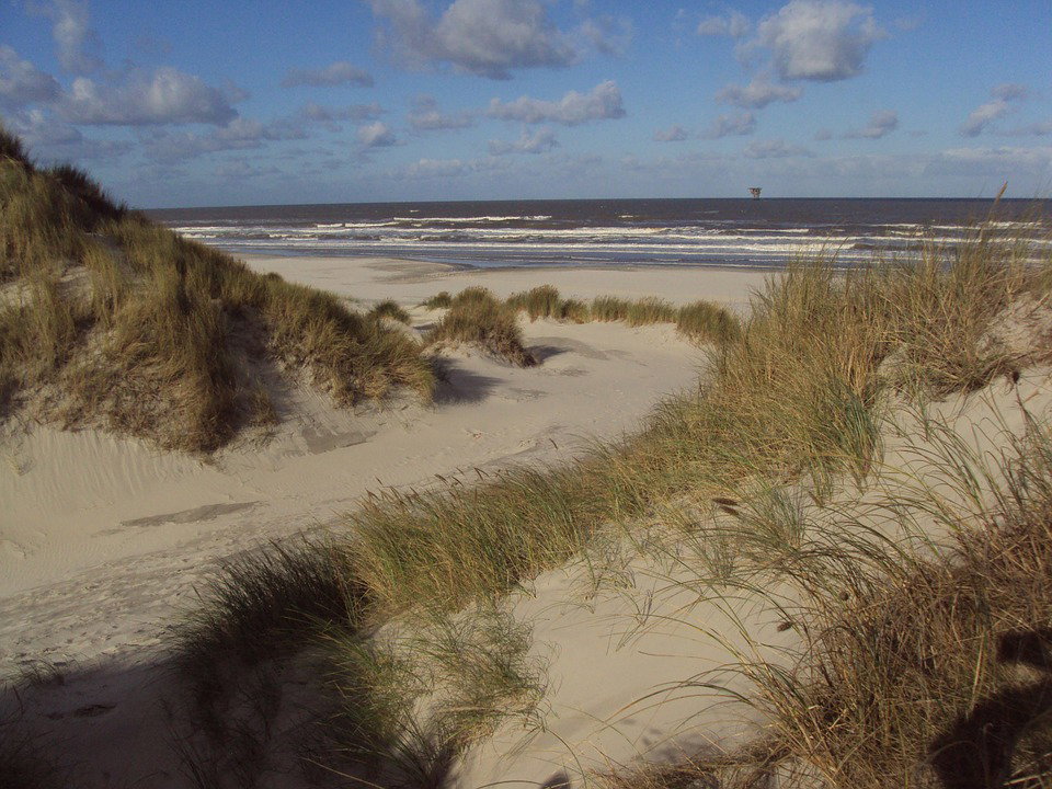 - image: 12