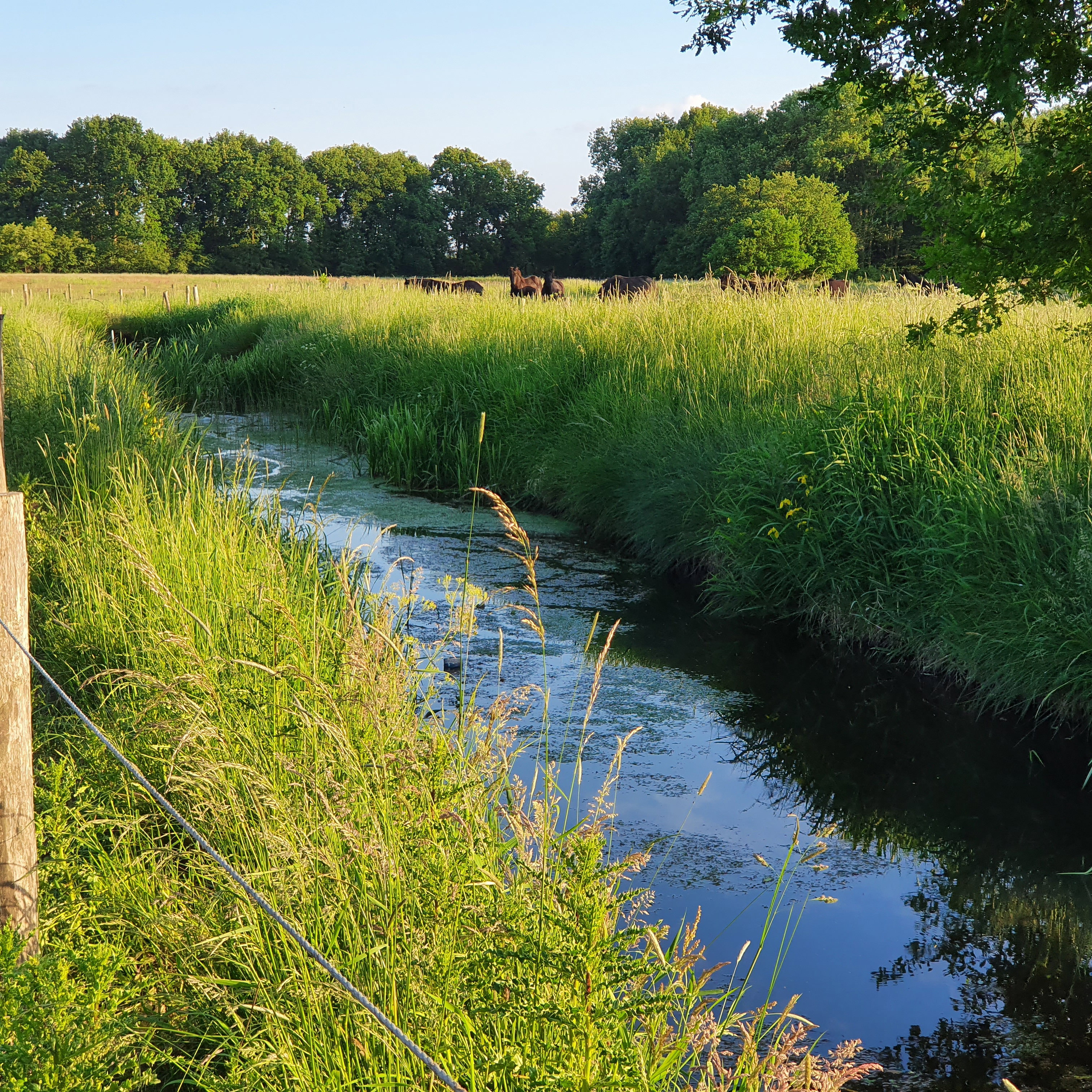 Natuurhuisje in Vortum-Mullem