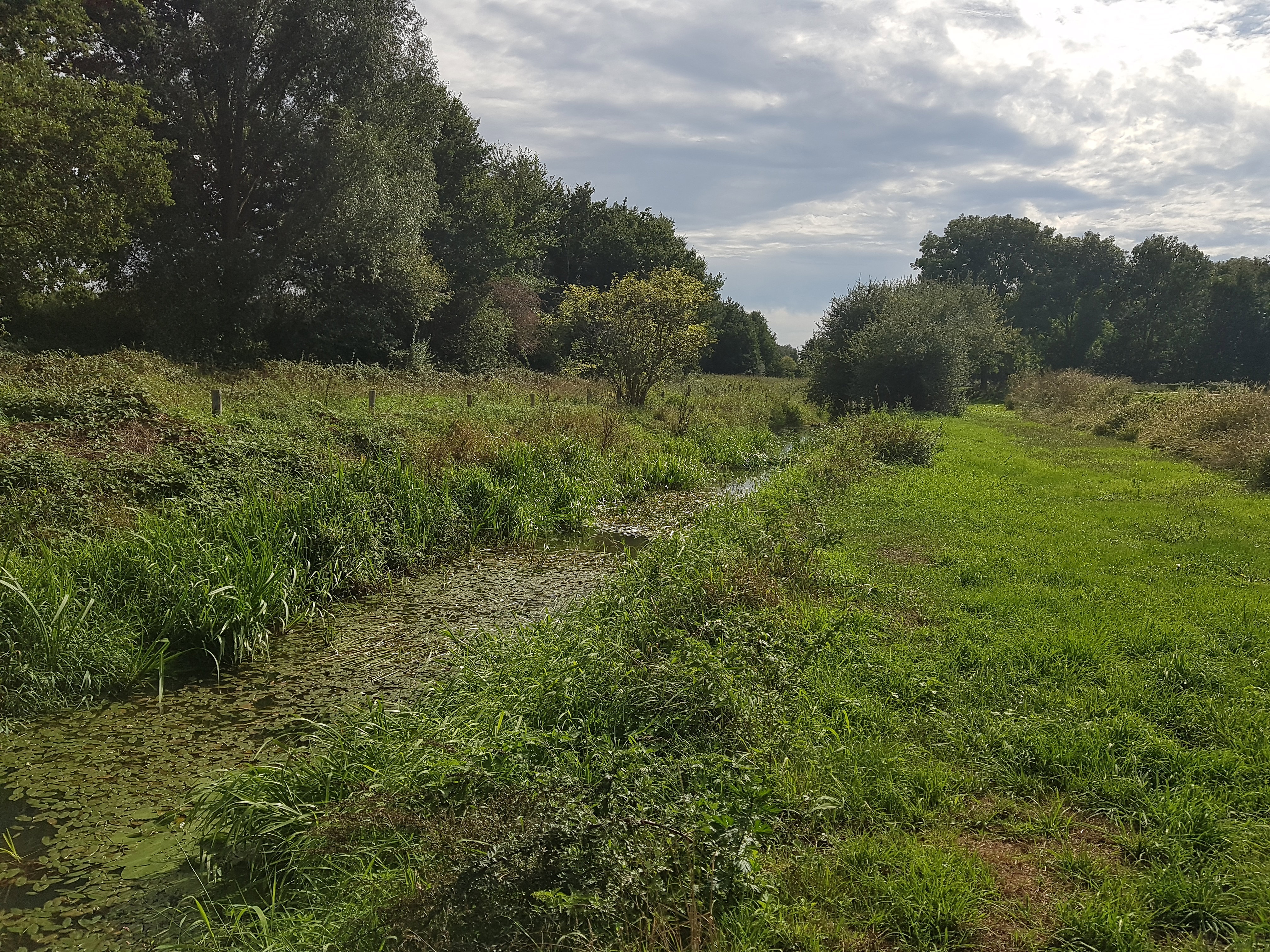 Naturhäuschen in Vortum-Mullem