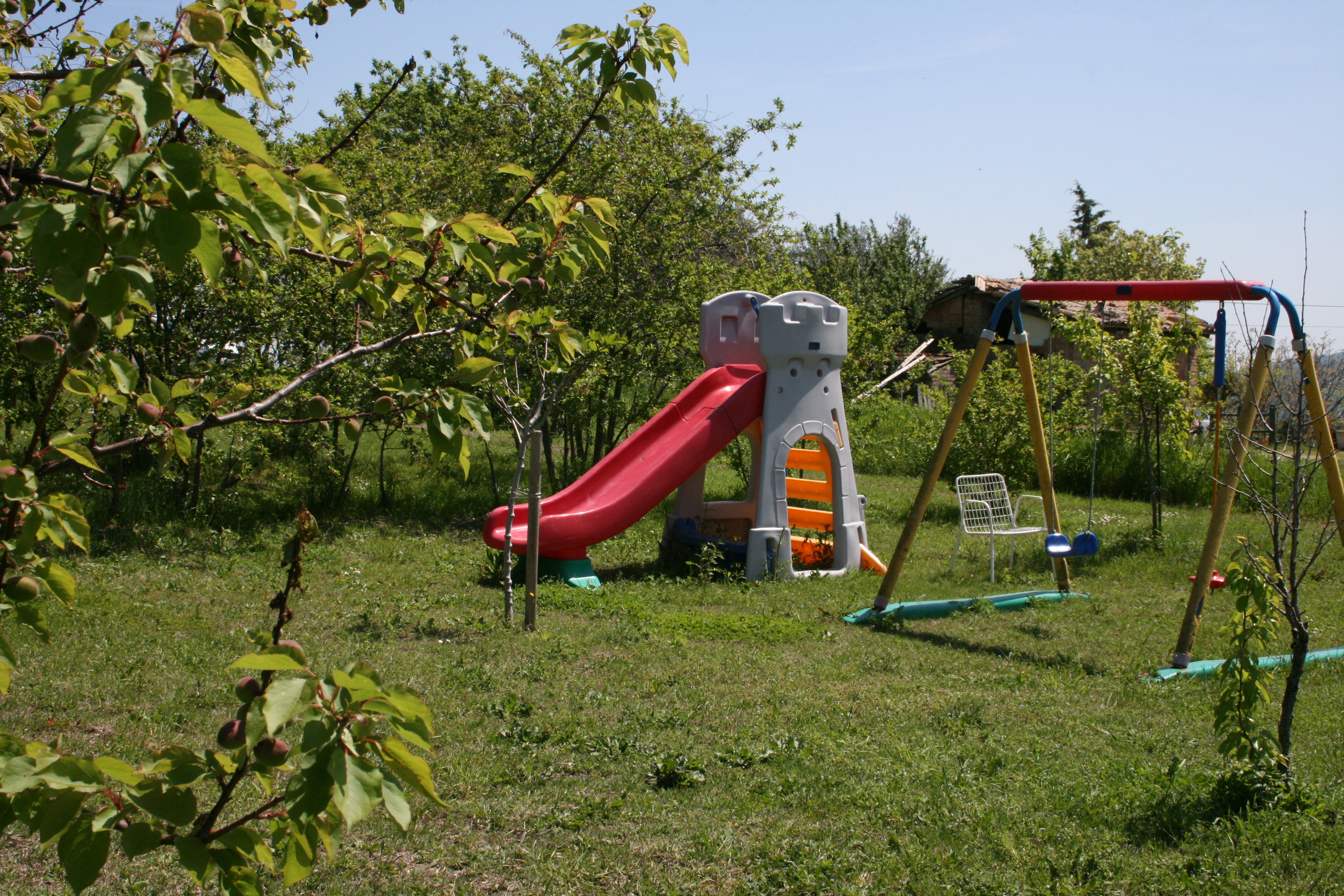 - image: 26