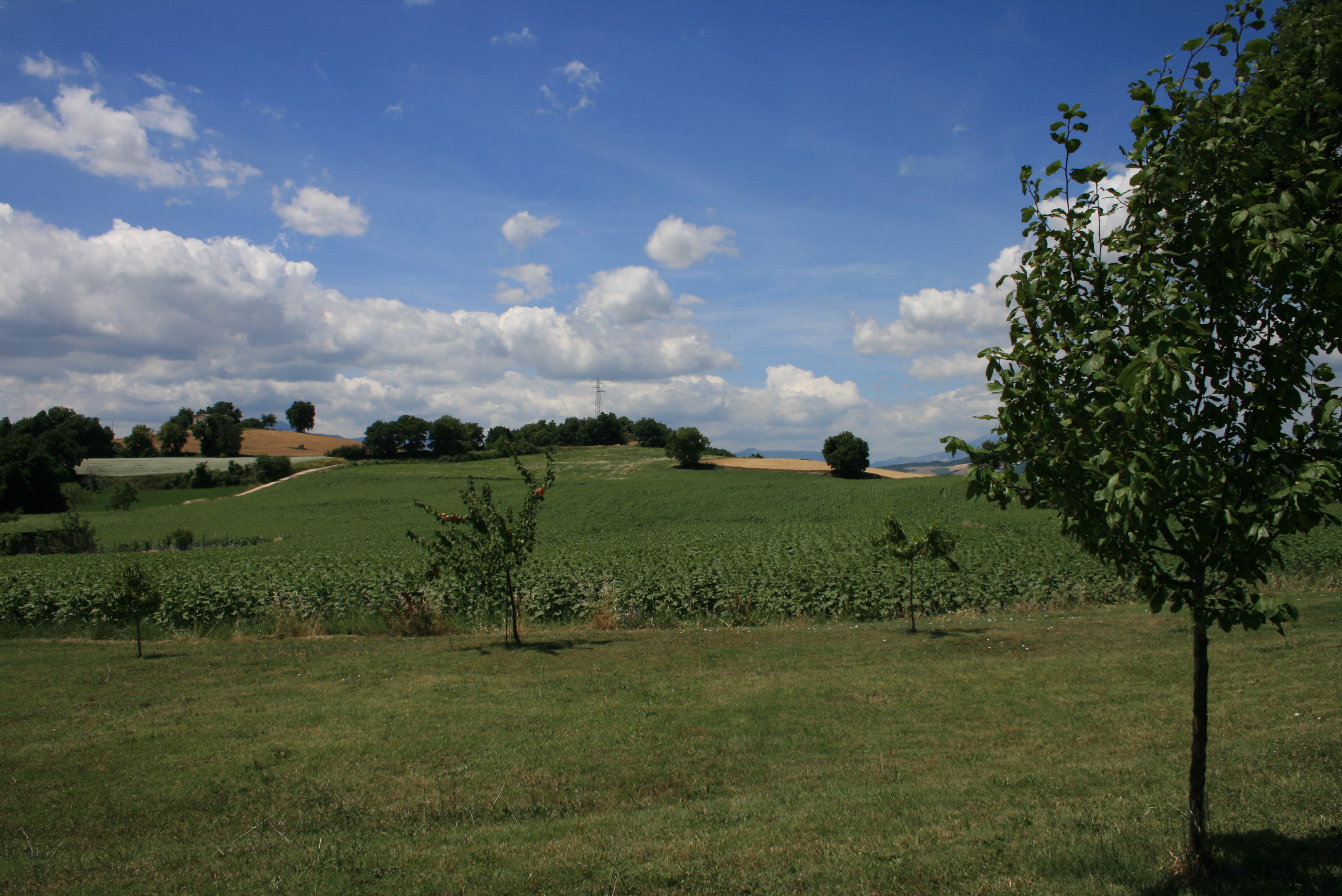 - image: 27