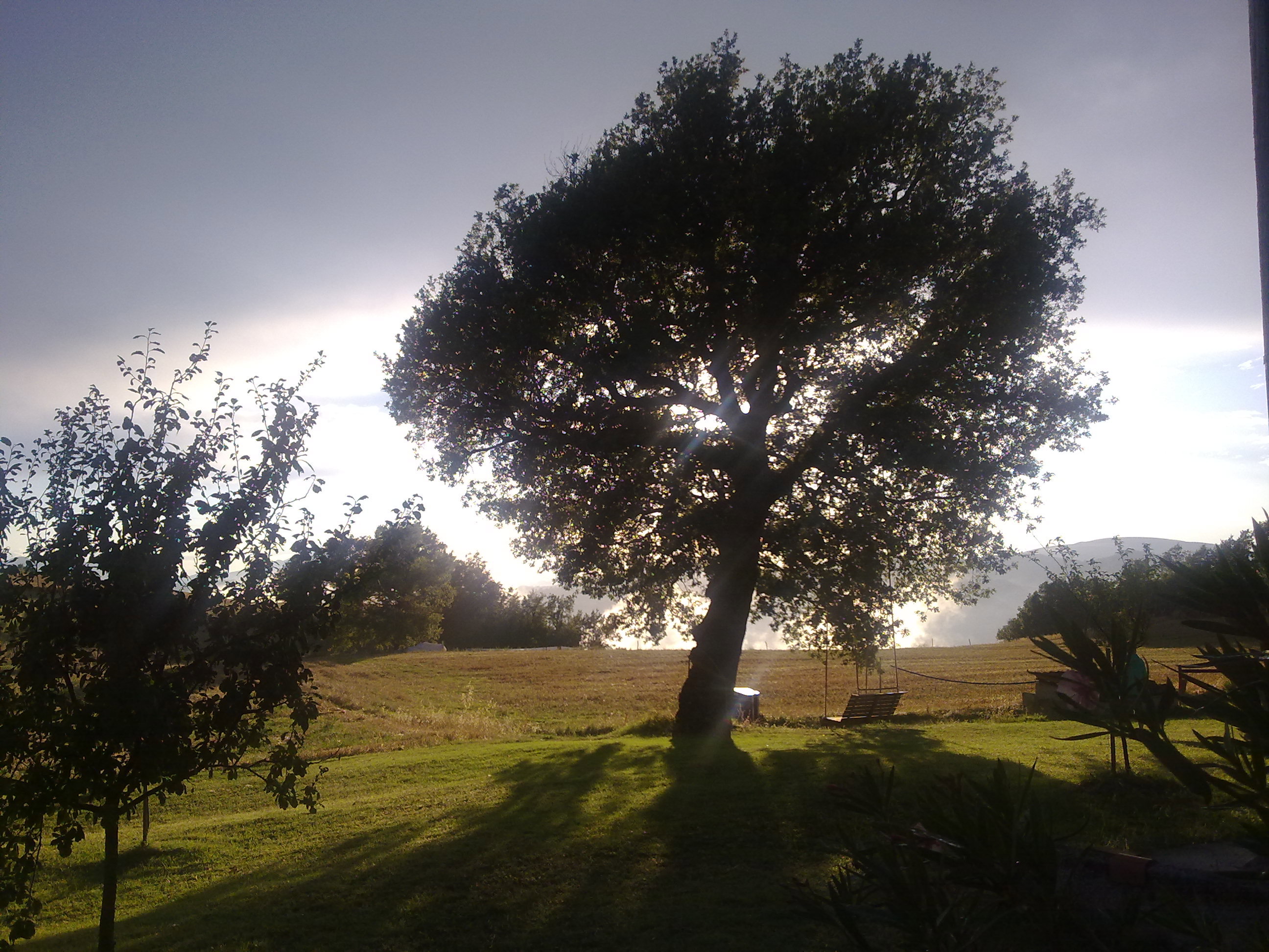- image: 23