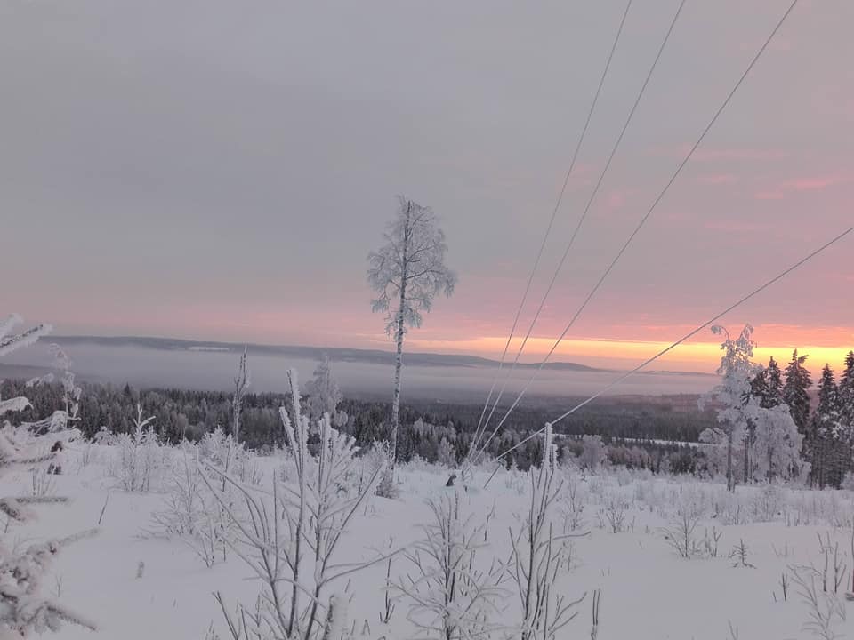 - image: 17