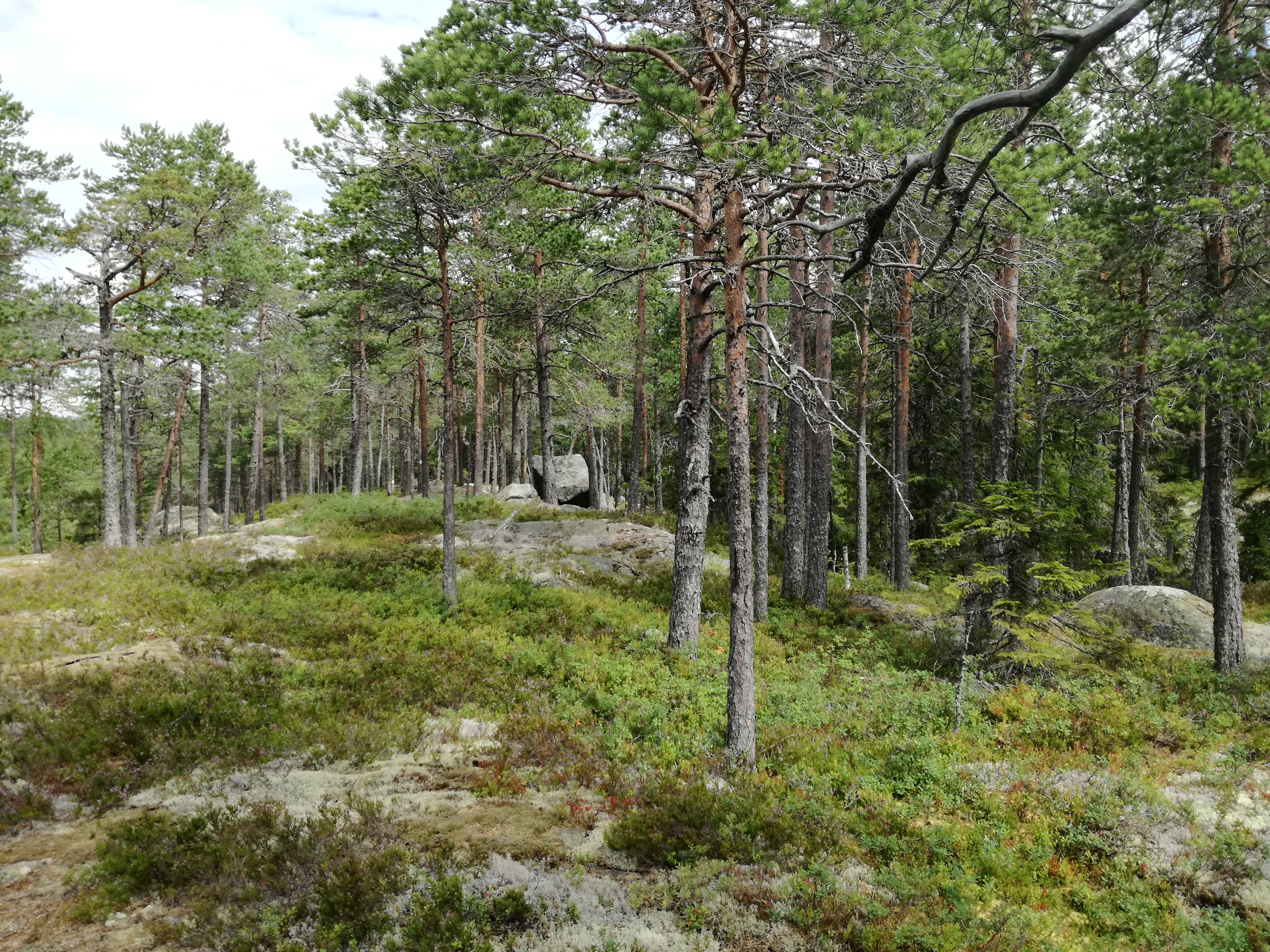 - image: 27