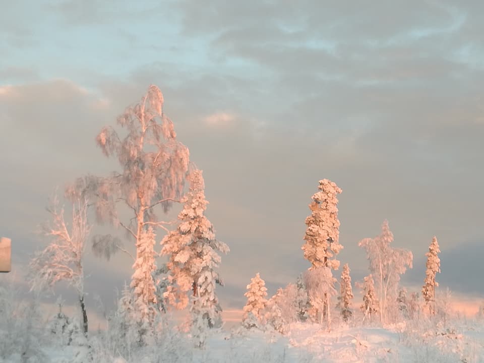 - image: 18