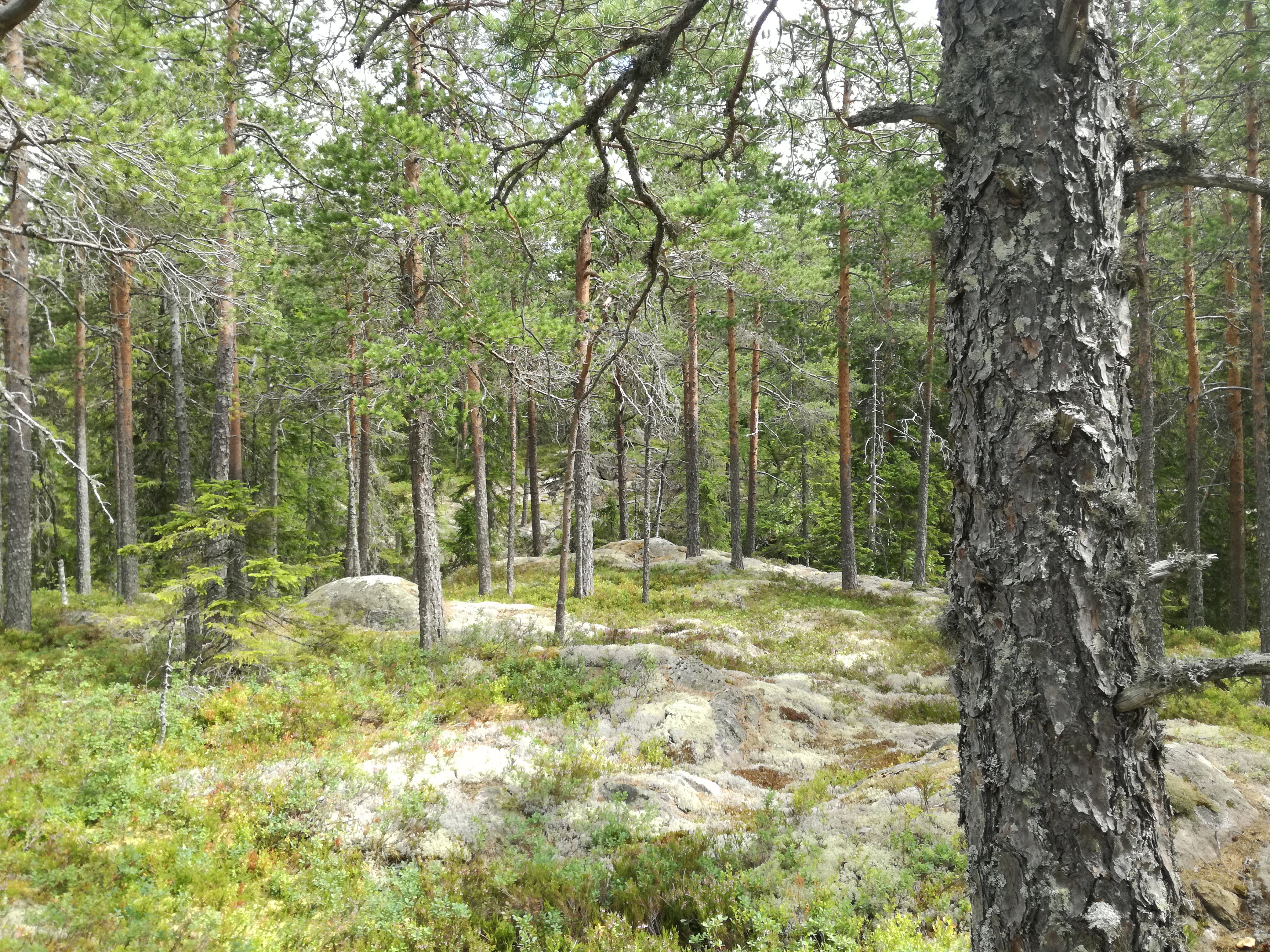 - image: 28
