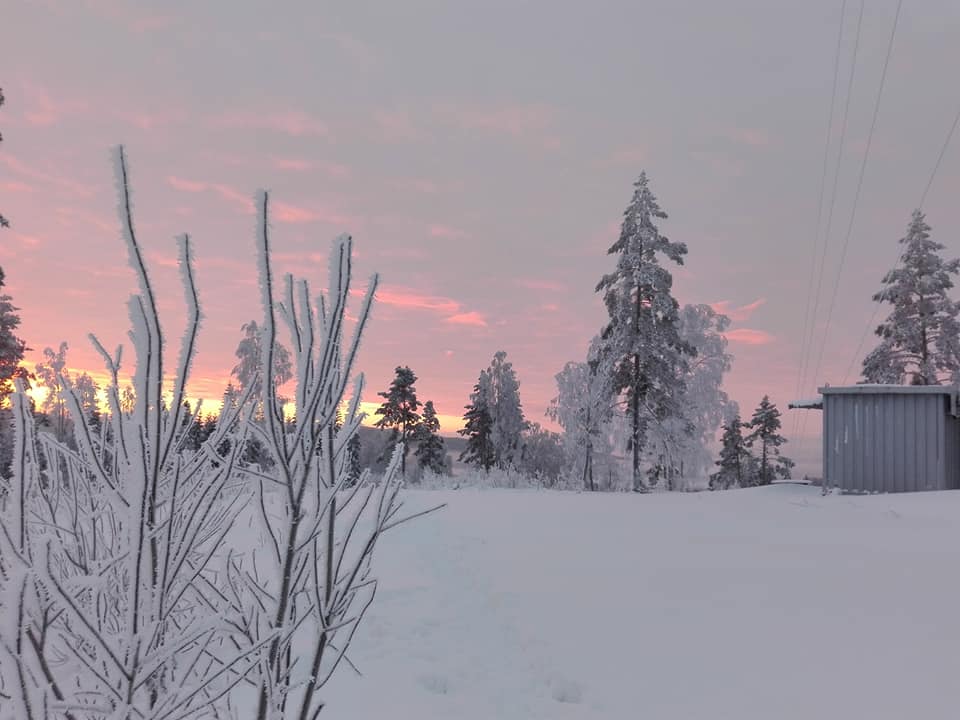 - image: 22